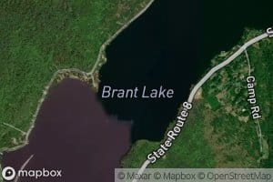 Brant Lake