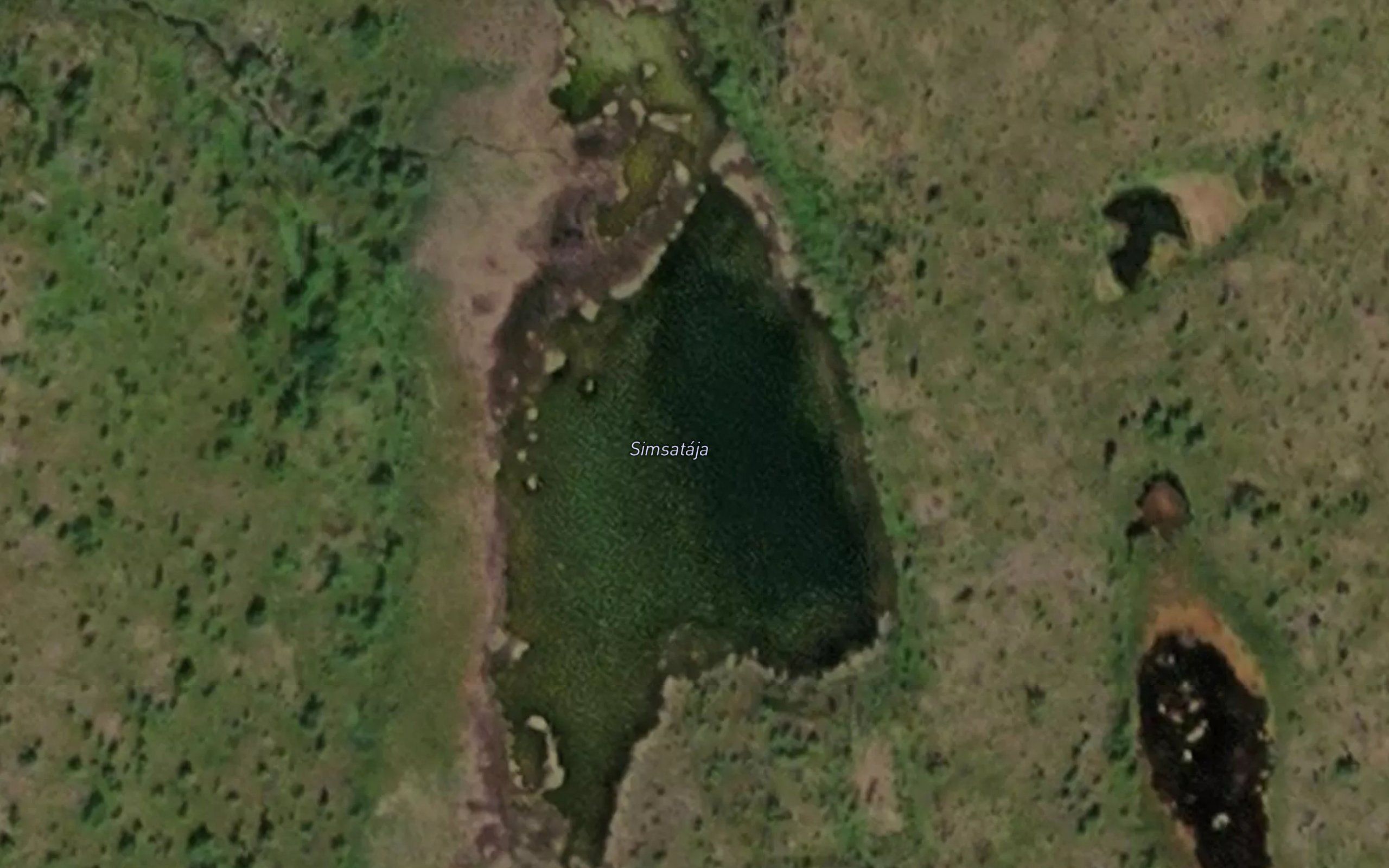 Simsataja