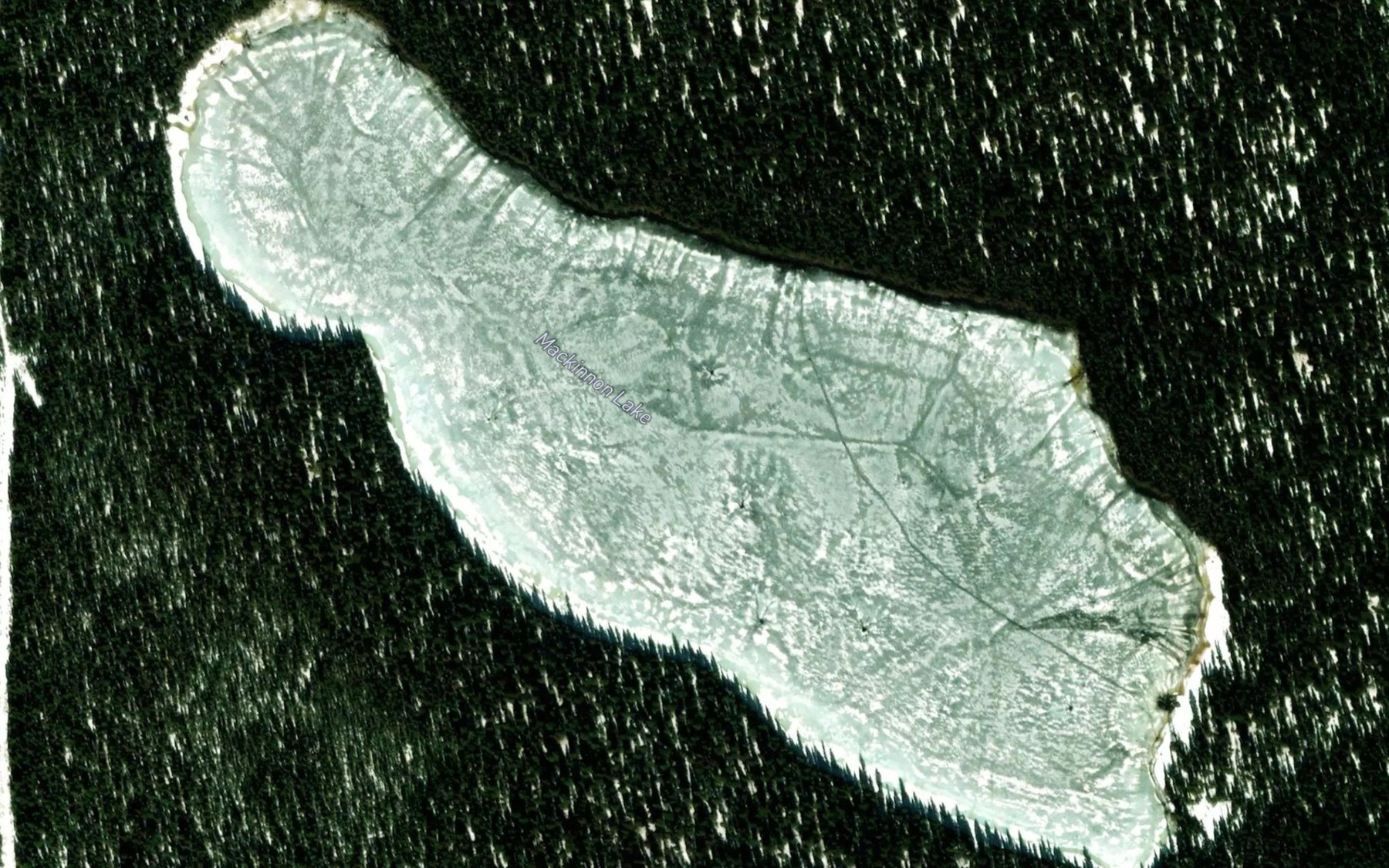 Satellite map of the Mackinnon Lake