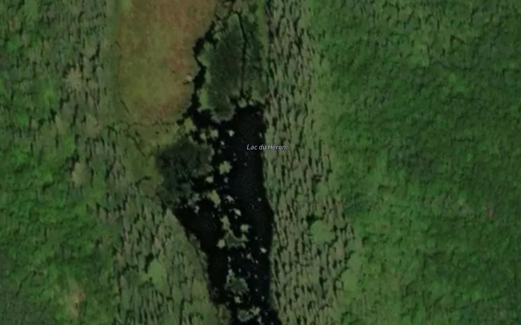 Satellite map of the Lac du Heron