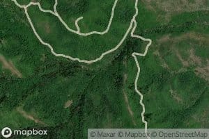 Left Hand Fork Dalton Creek