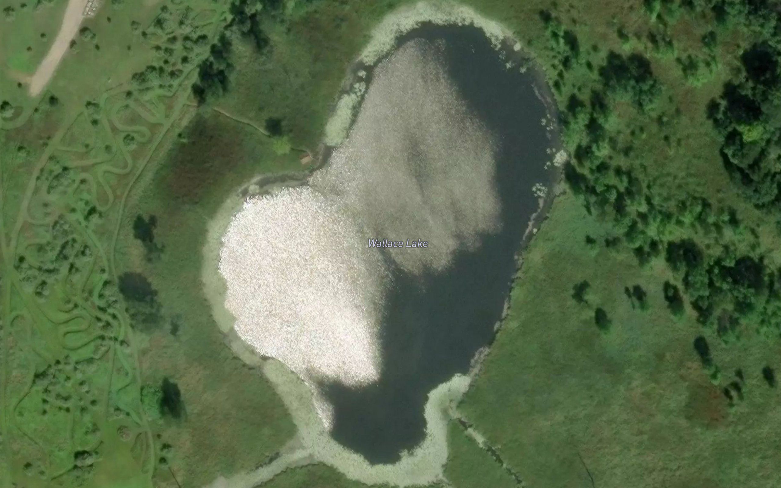 Wallace Lake