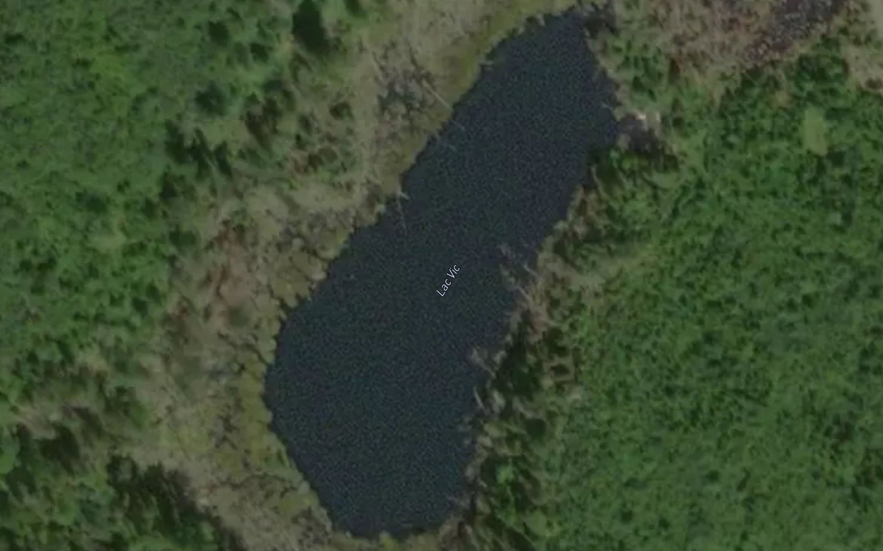 Satellite map of the Lac Vic