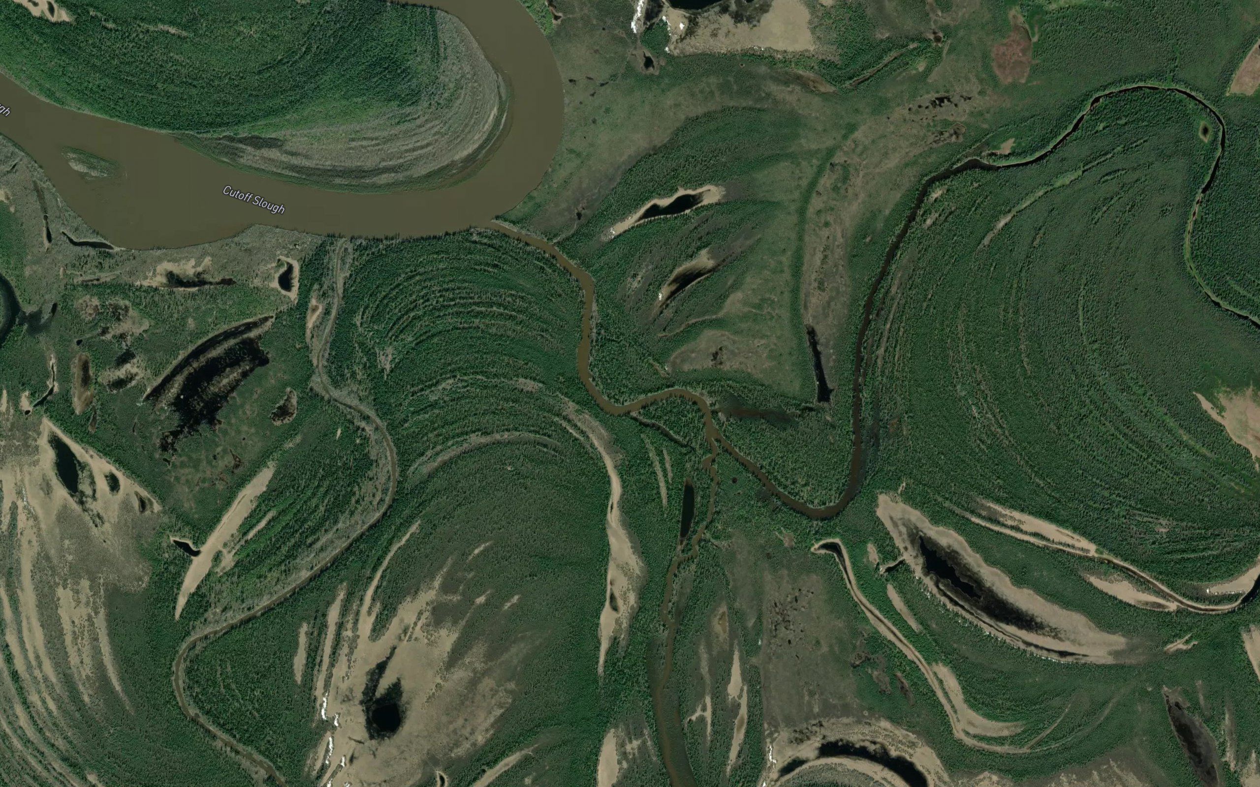 Messy Slough
