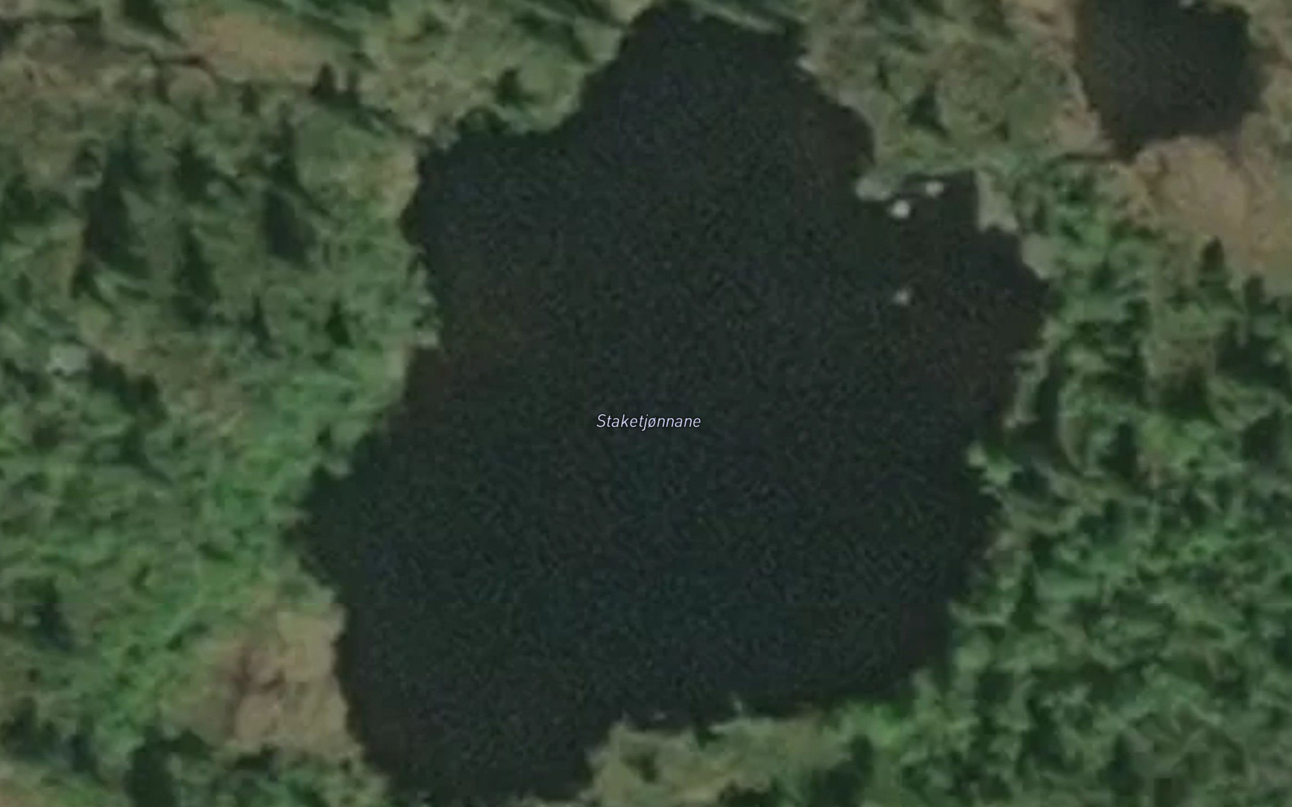 Staketjornane