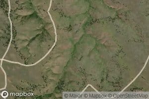 Paget Spring Number Four