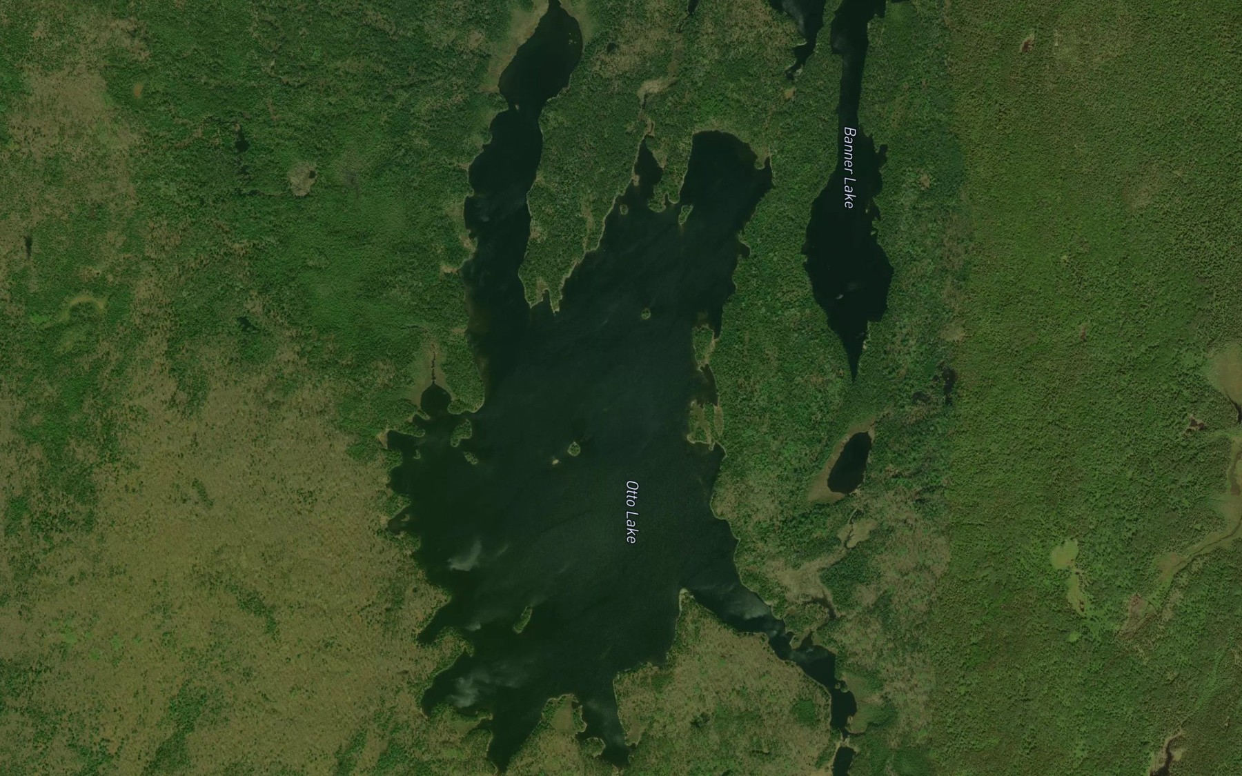 Satellite map of the Otto Lake
