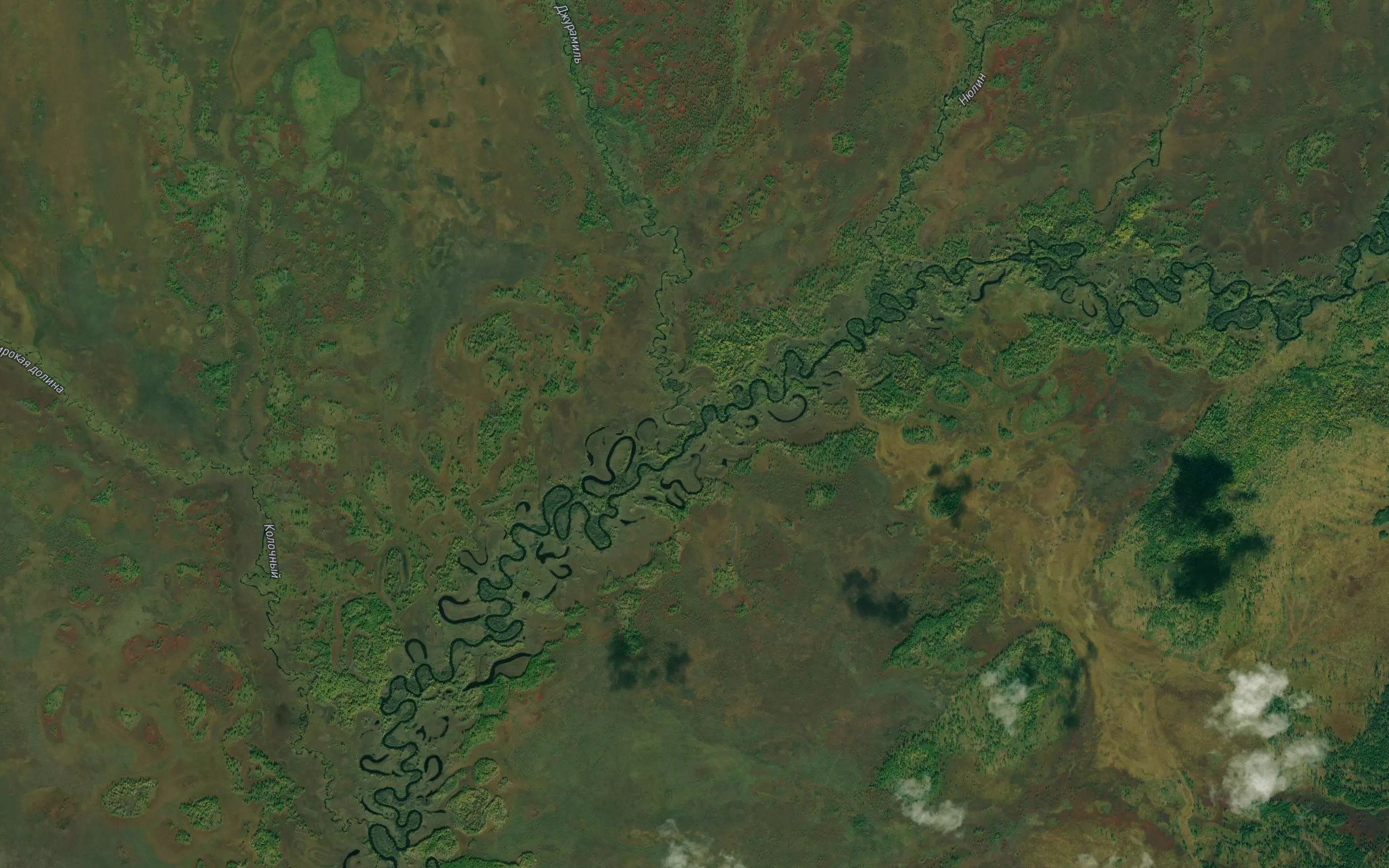 Dzhuramil'