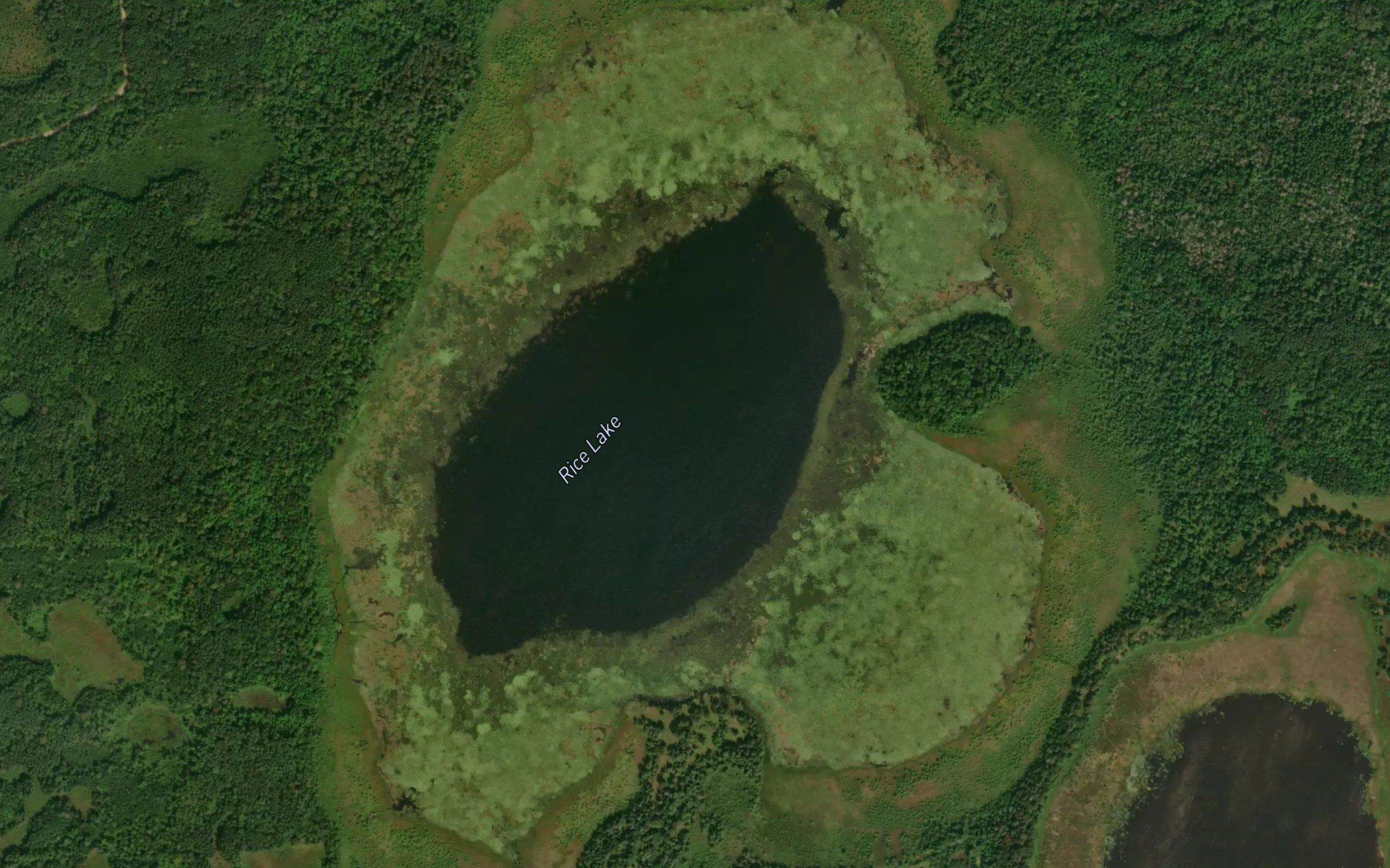 Rice Lake