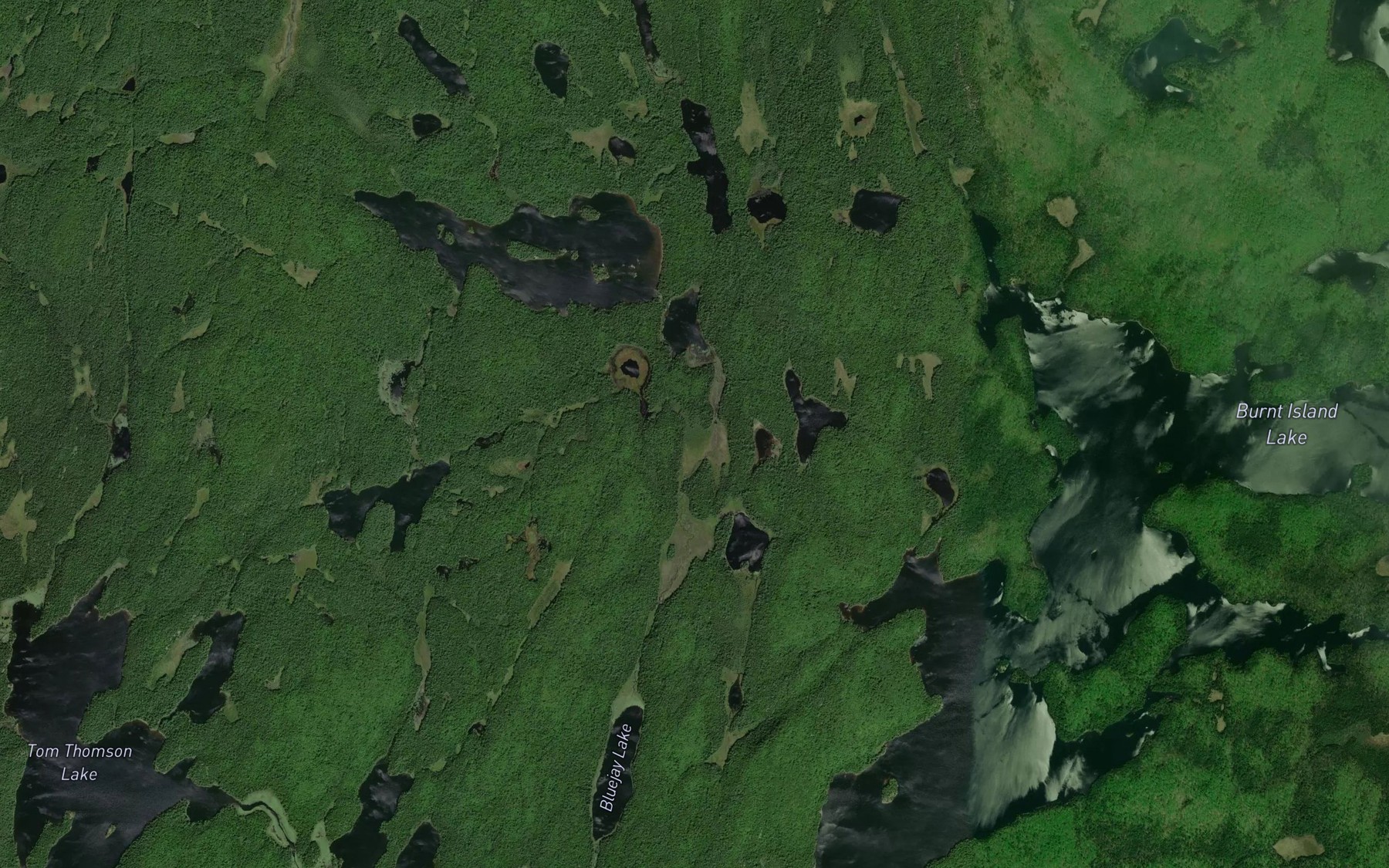 Satellite map of the Vanishing Pond