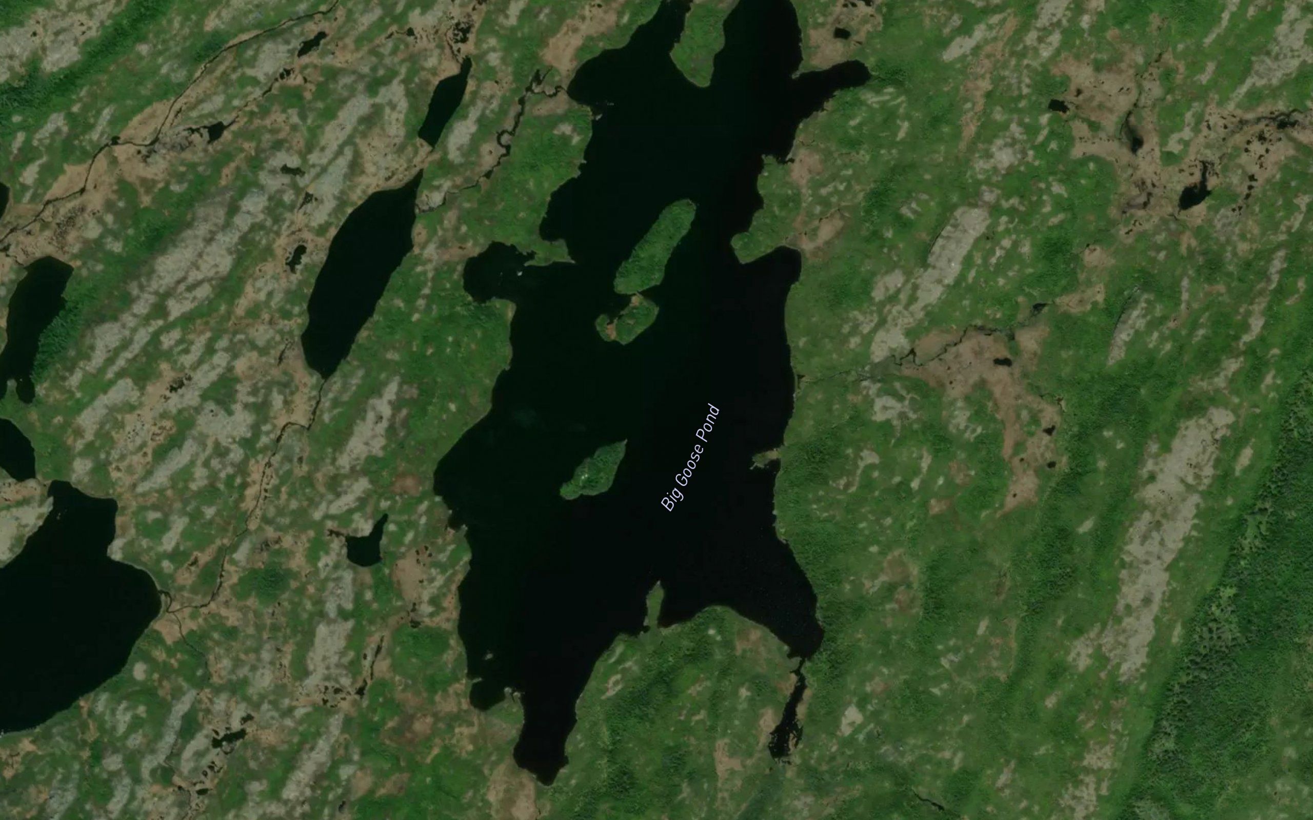 Big Goose Pond