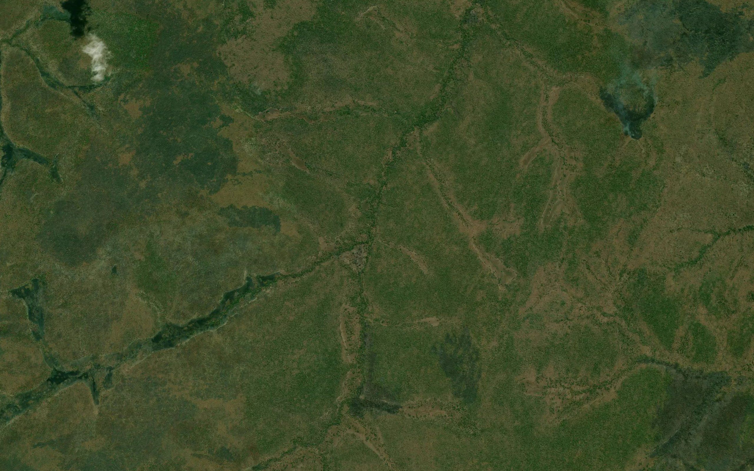 Maputa