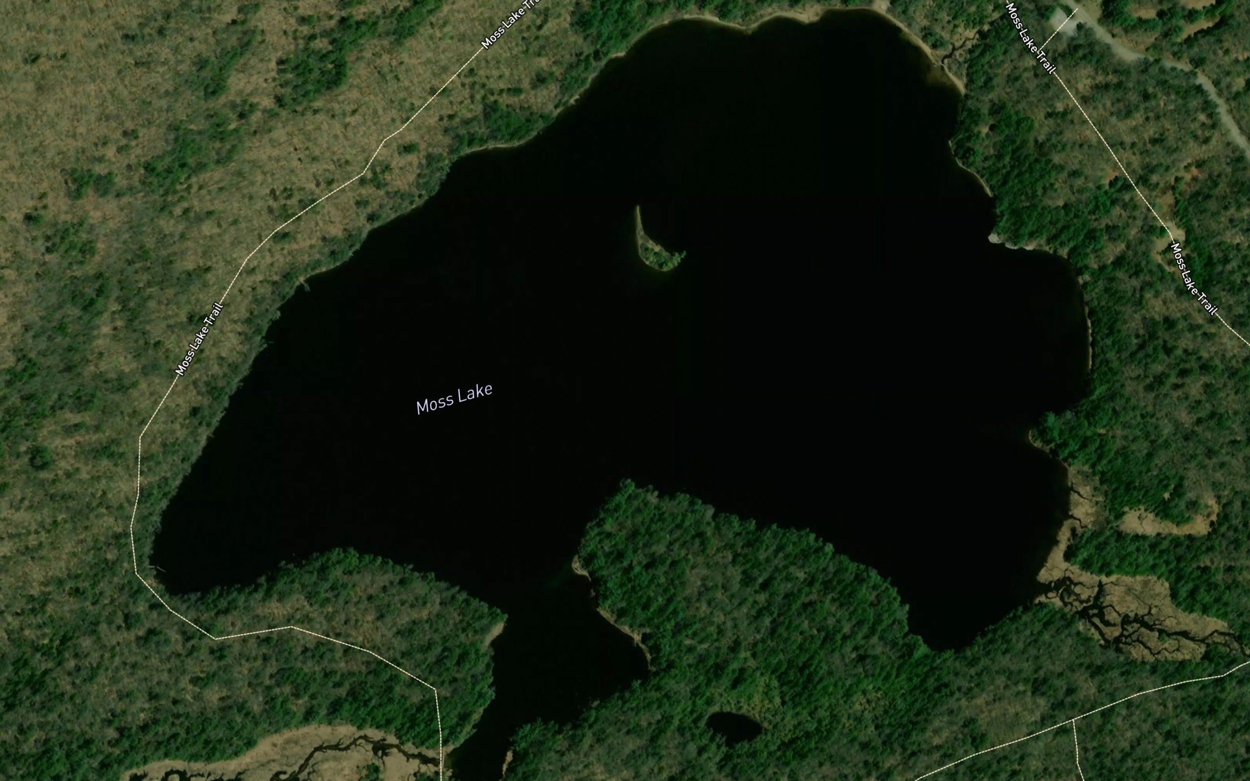 Moss Lake