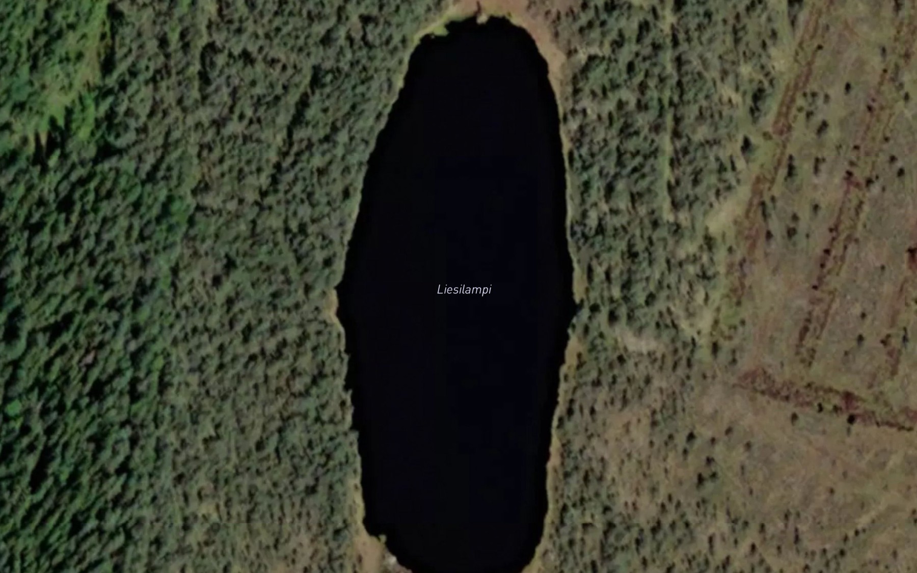 Satellite map of the Liesilampi