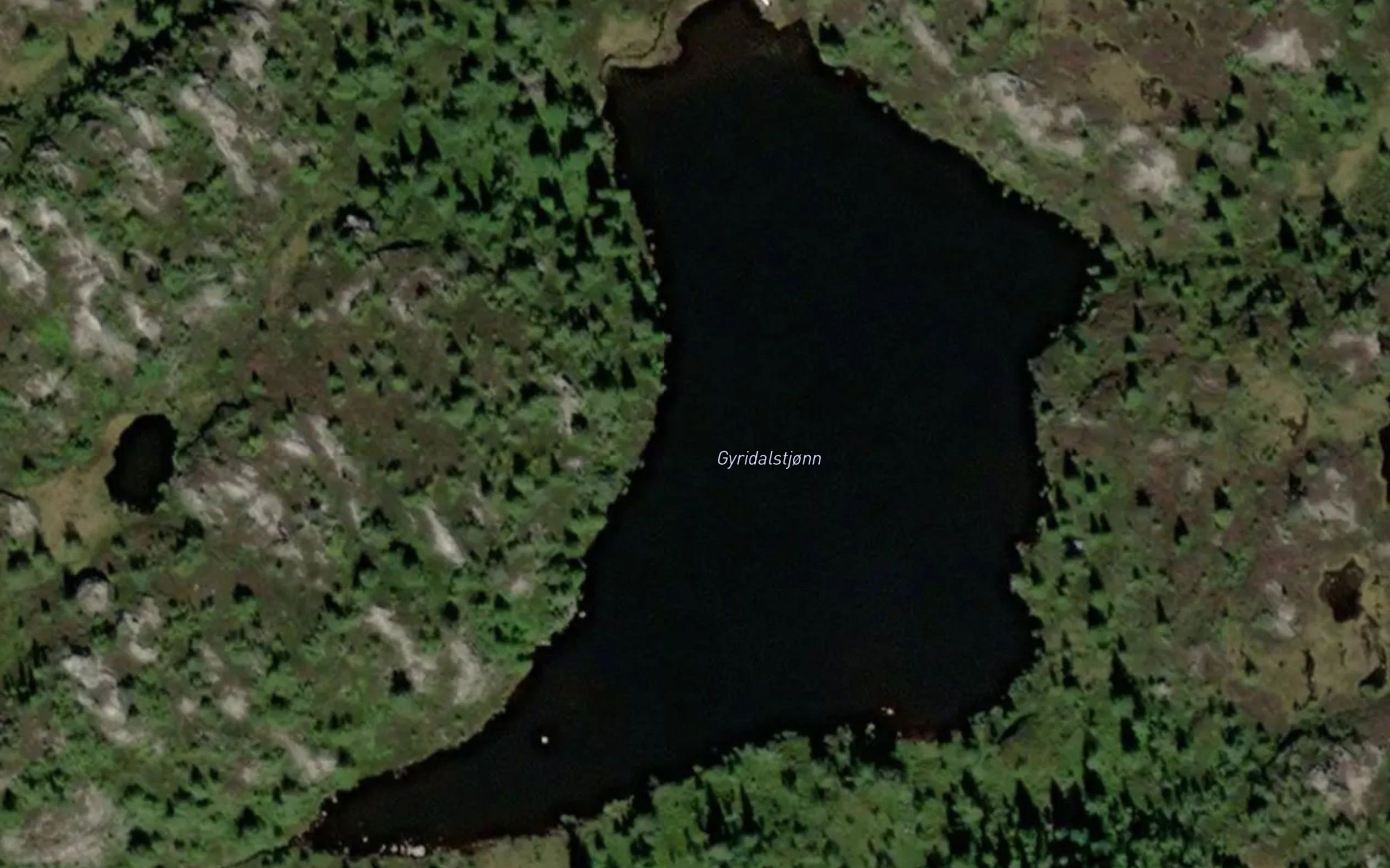 Gyridalstjorn
