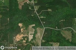 Simmons Springs Branch