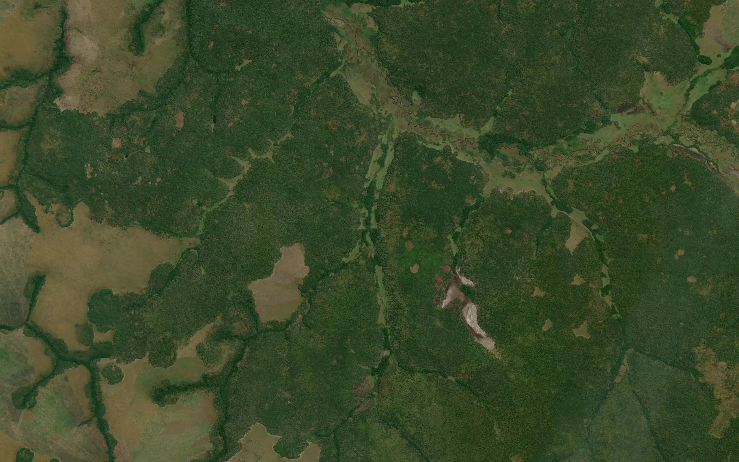 Capulumba
