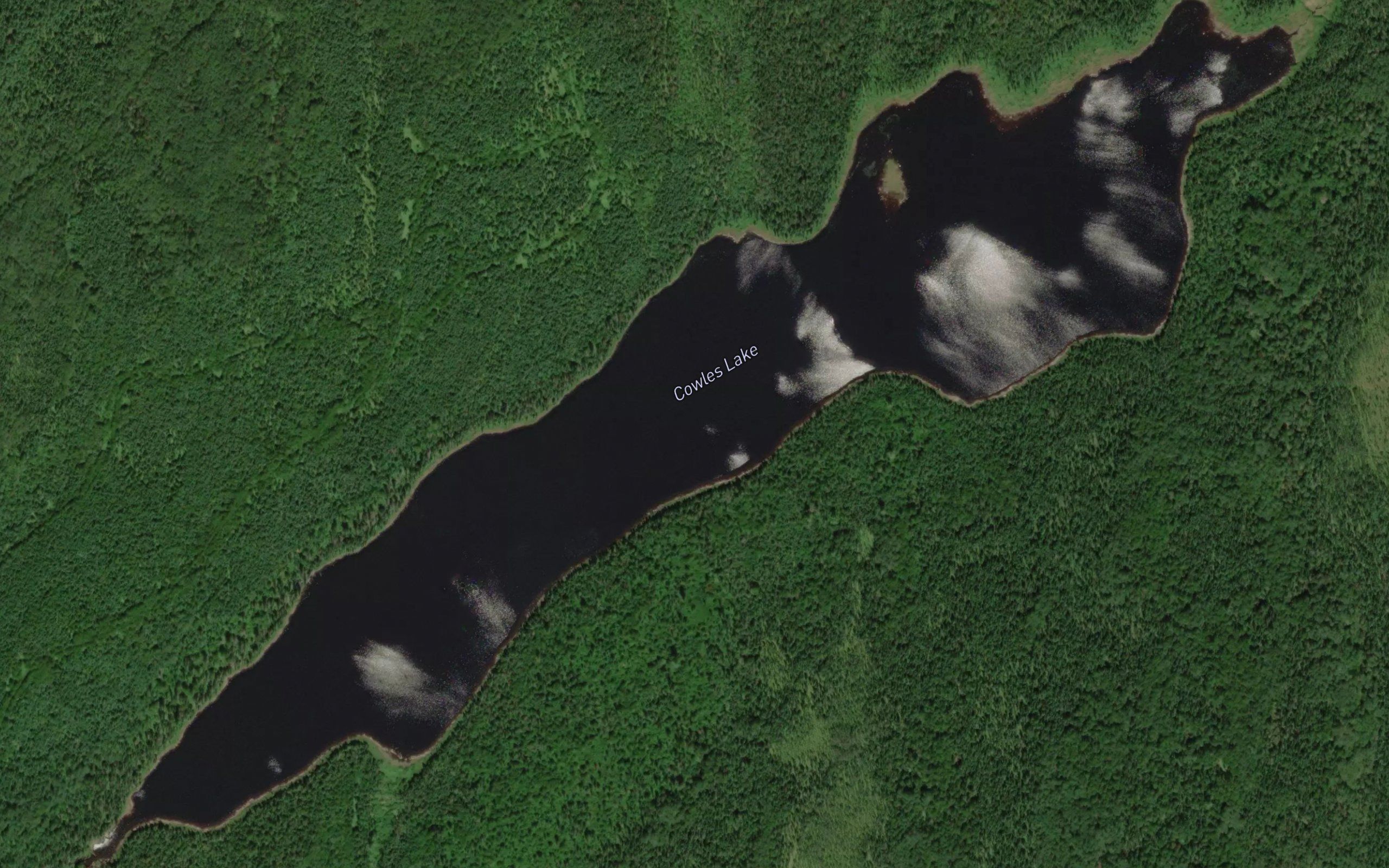 Cowles Lake