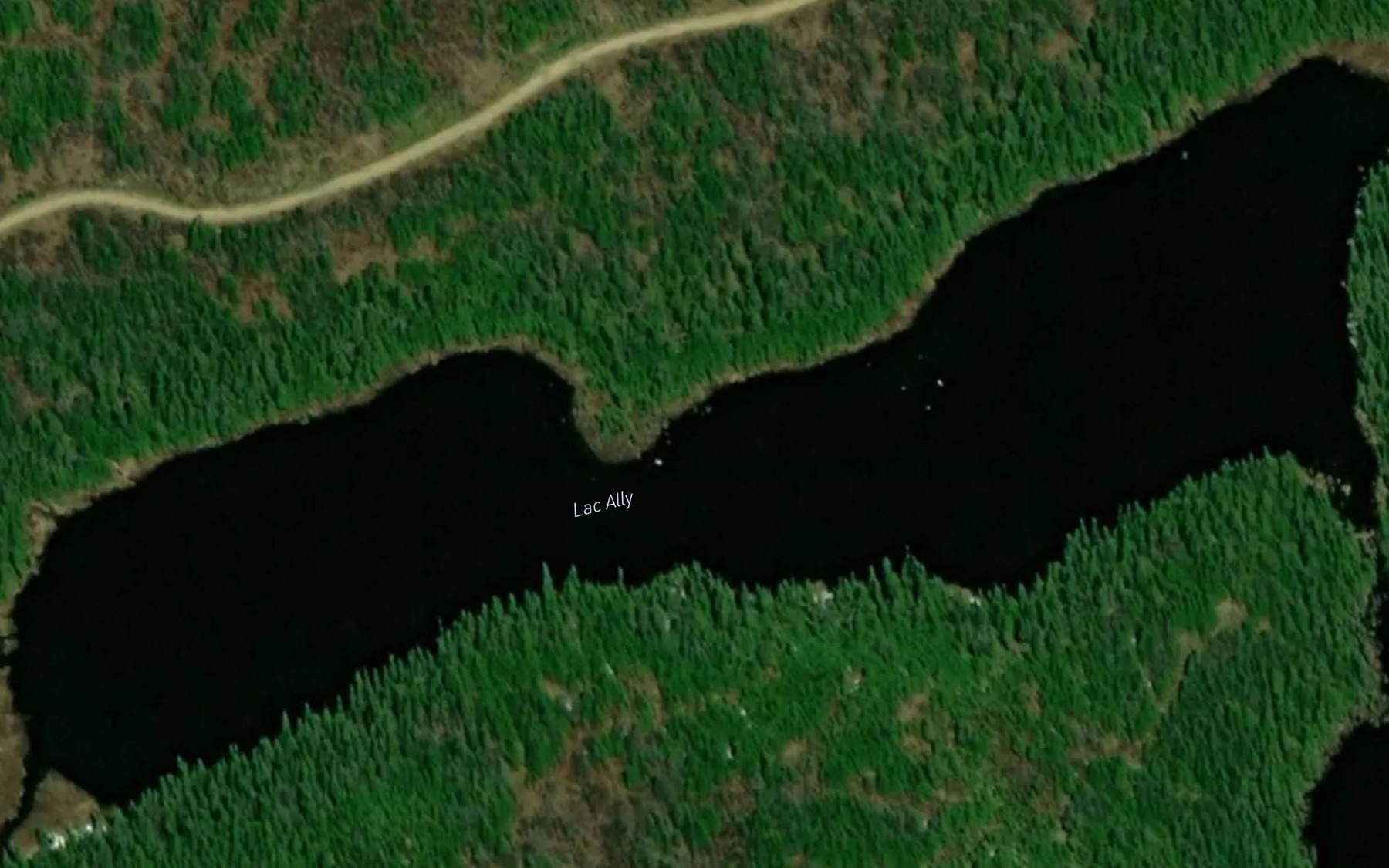 Satellite map of the Lac Ally