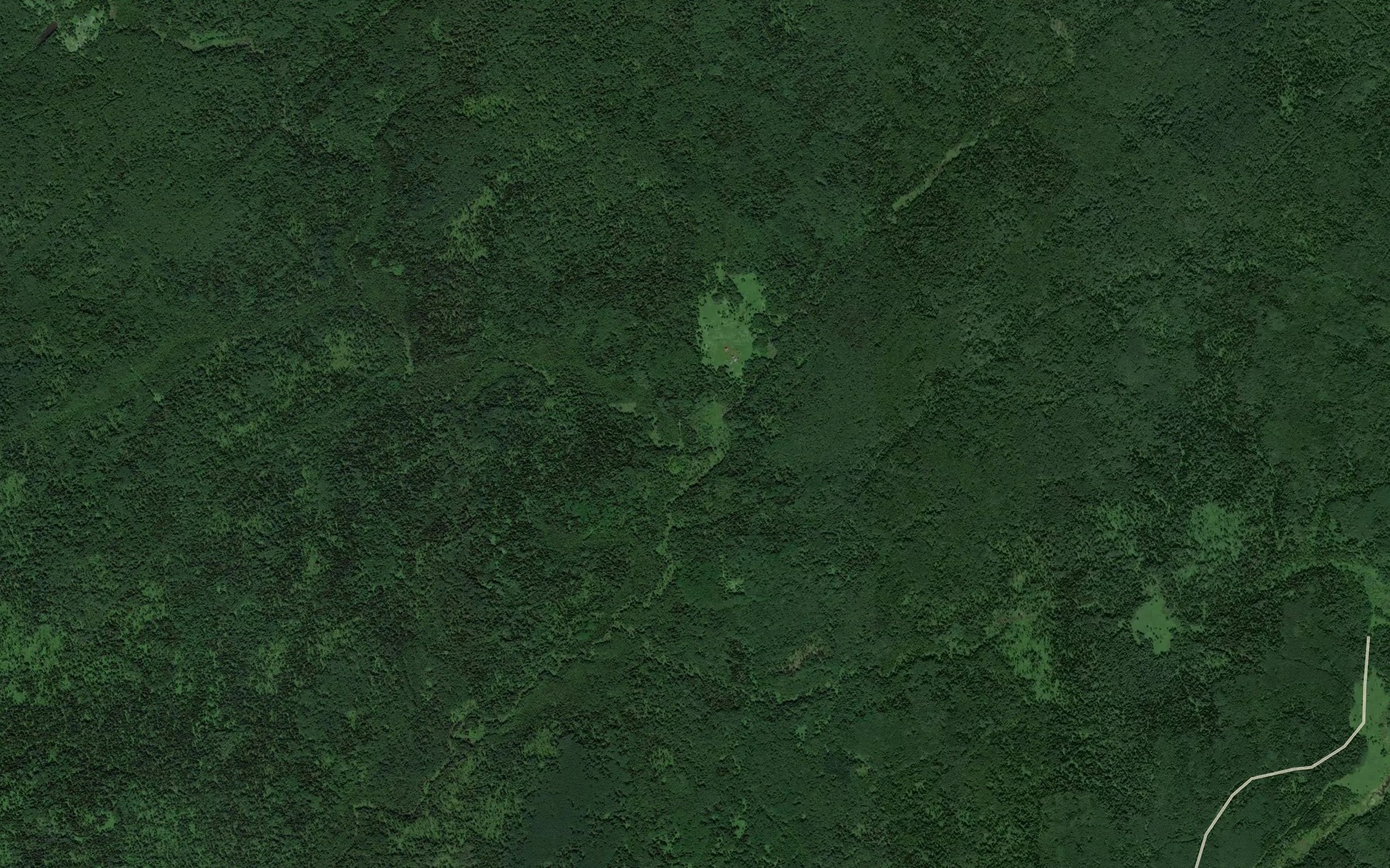 Satellite map of the Podikova