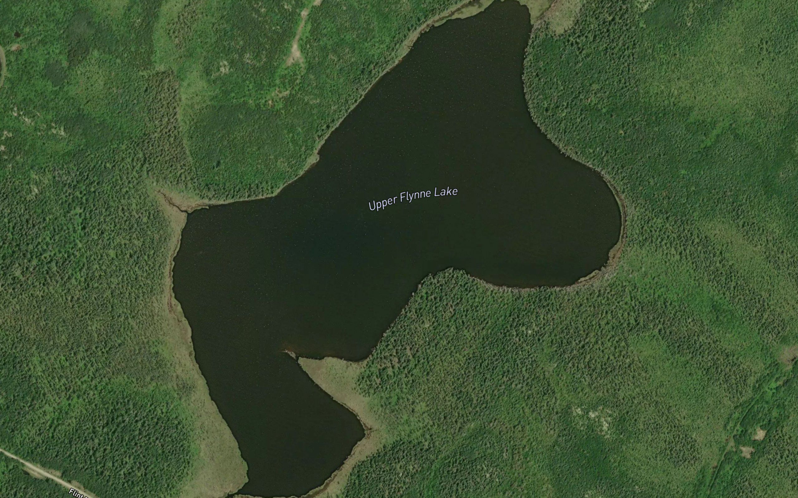 Upper Flynne Lake