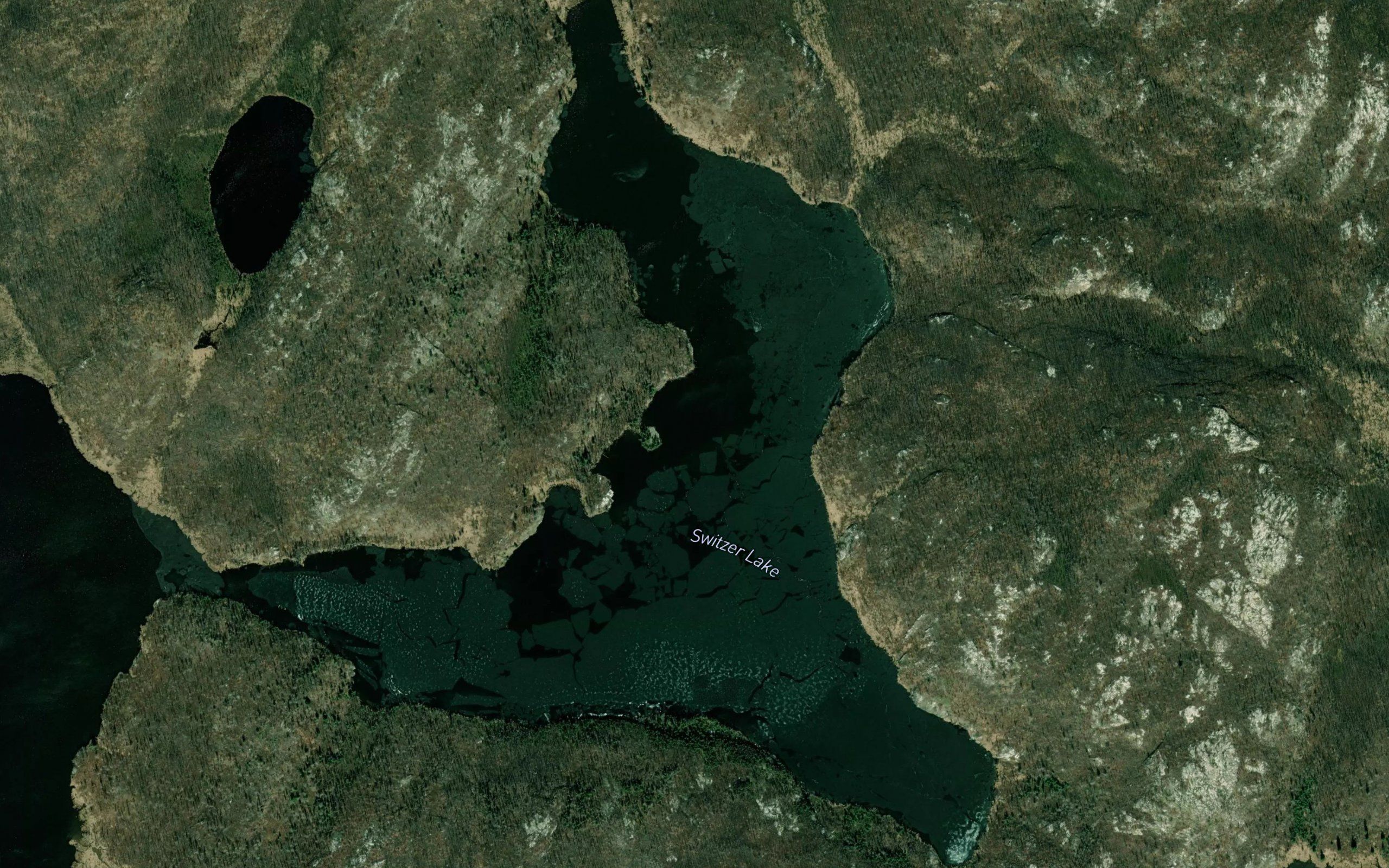 Switzer Lake
