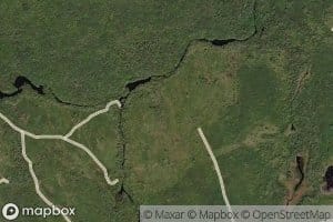Trout River