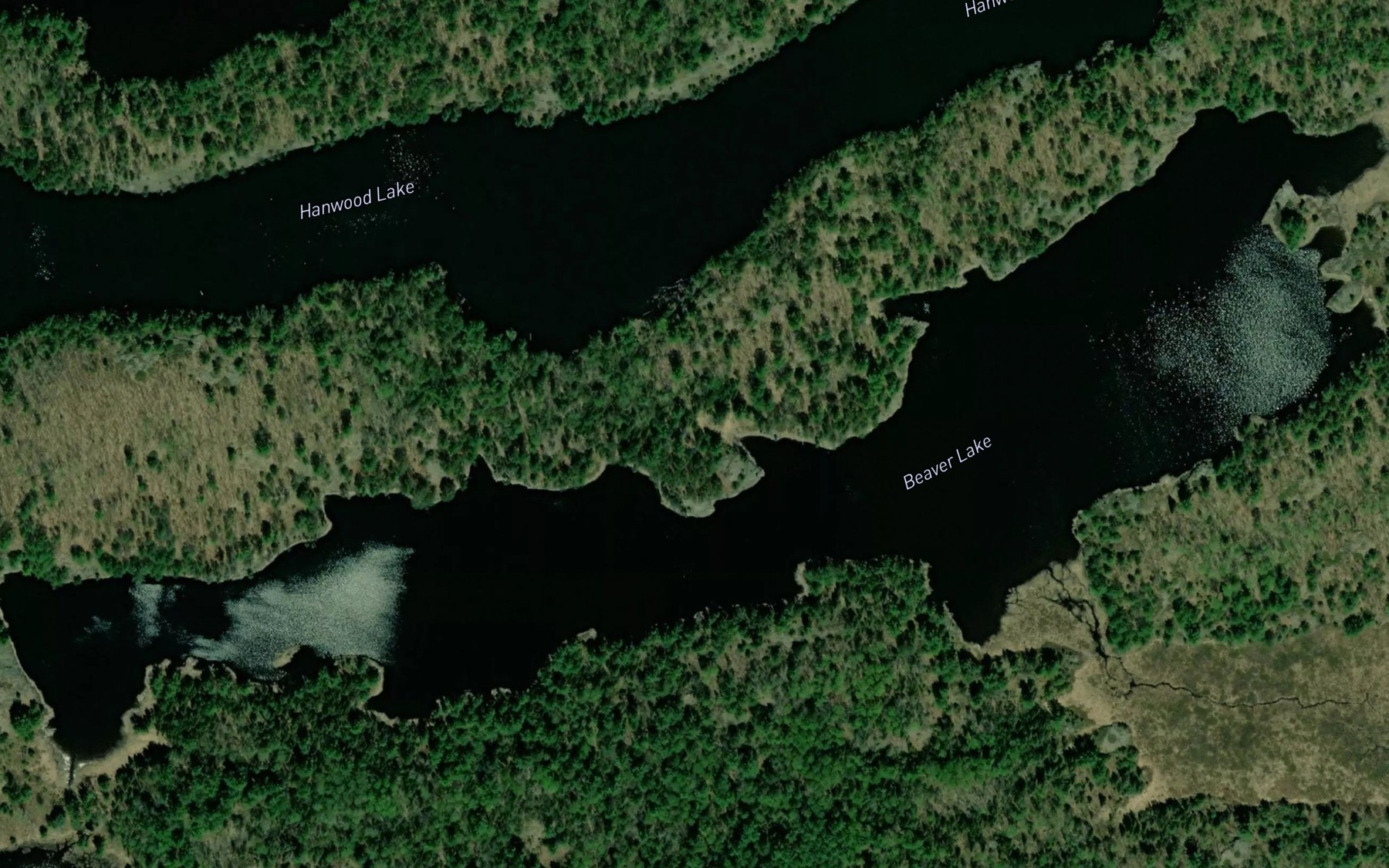 Satellite map of the Beaver Lake