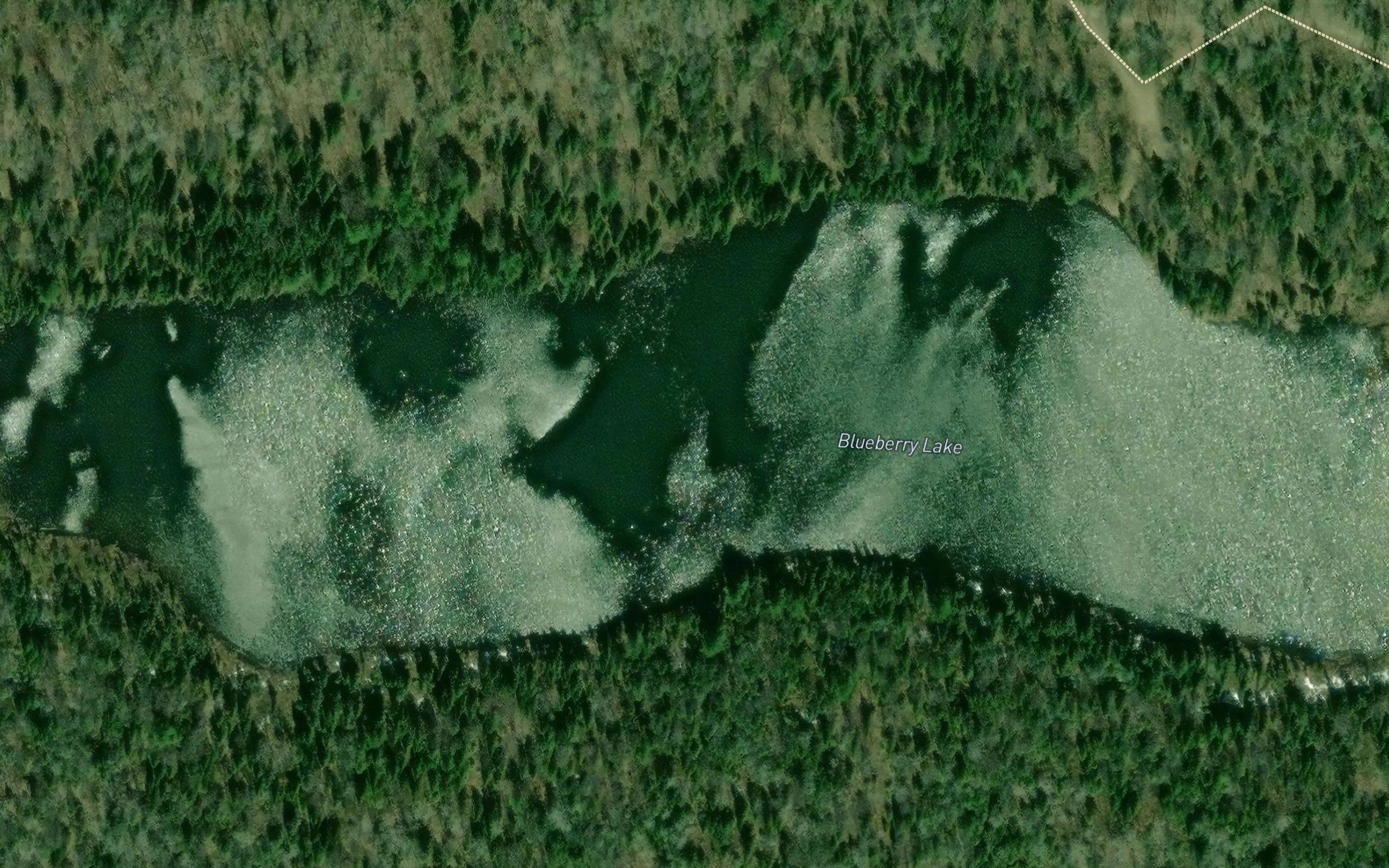 Blueberry Lake