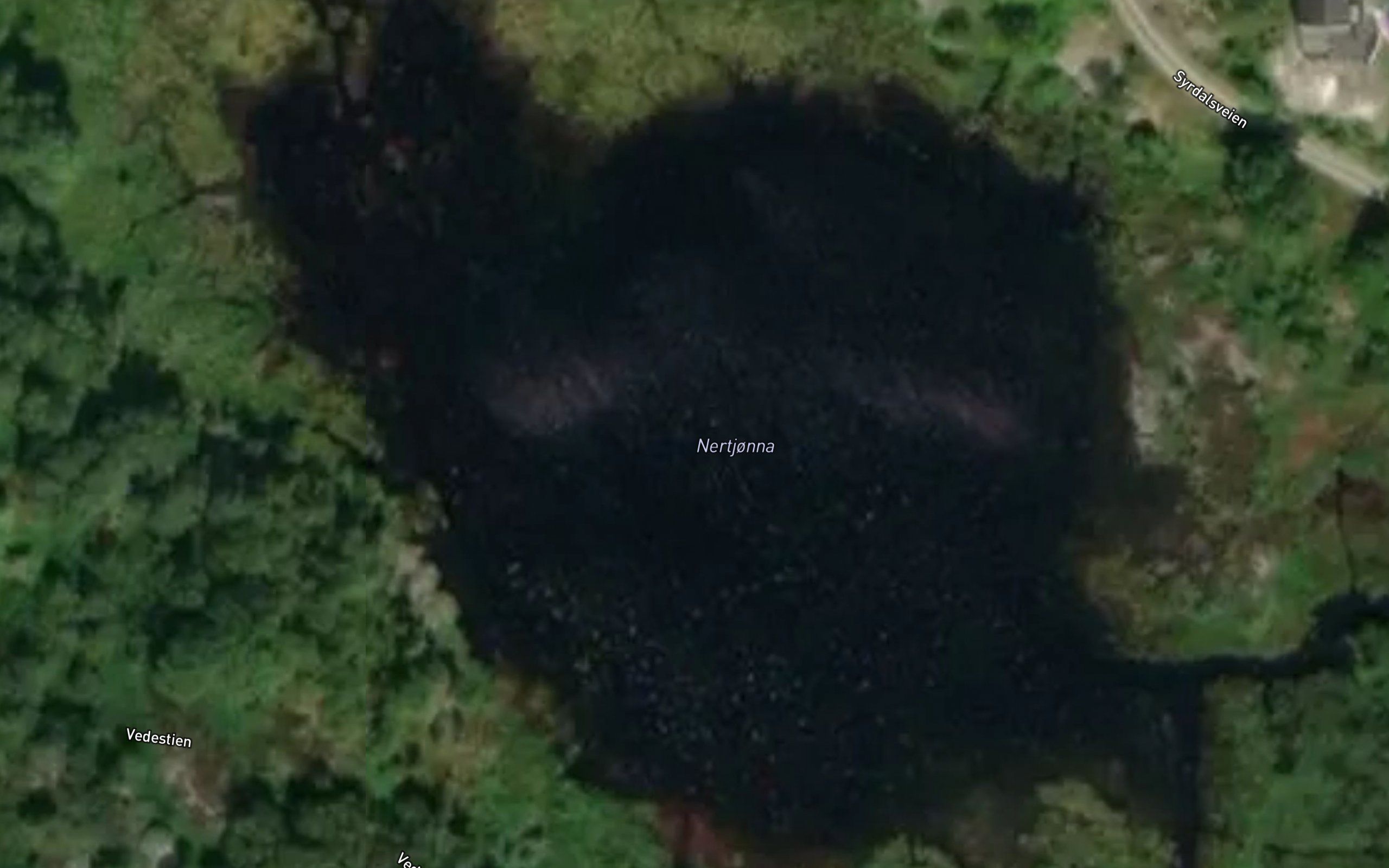Nertjonna