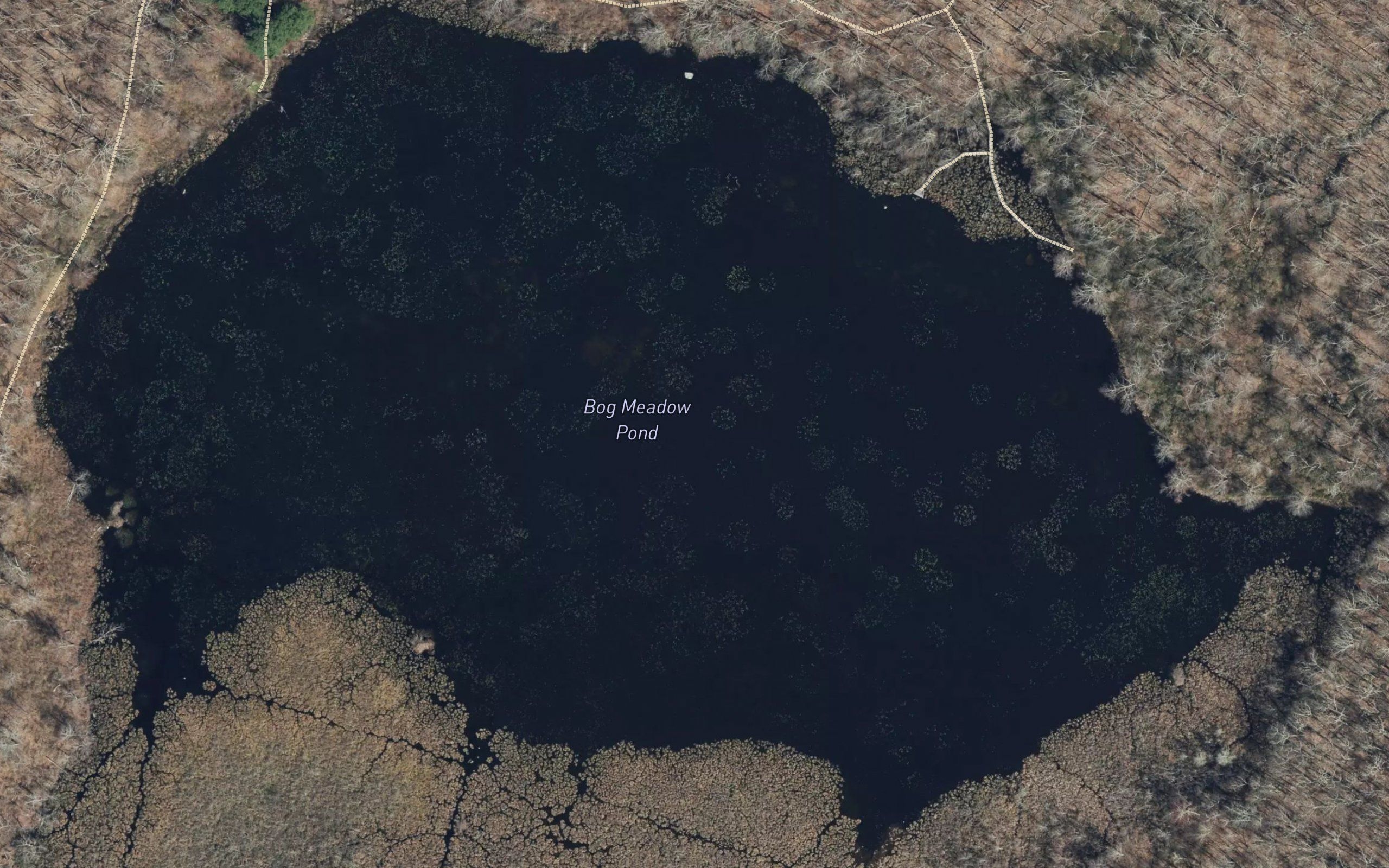 Bog Meadow Pond