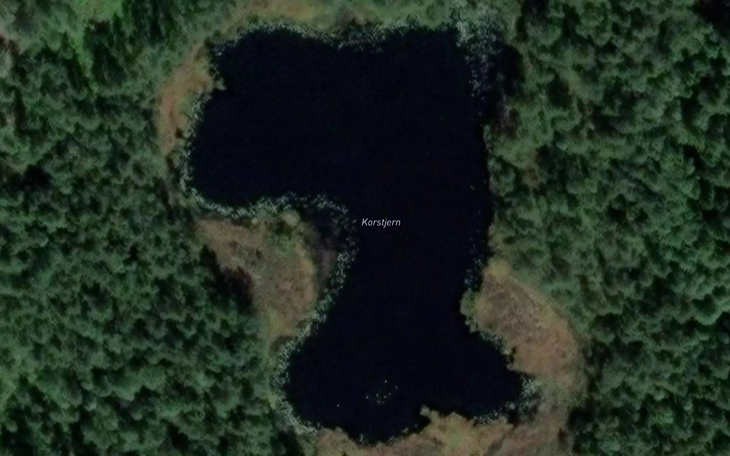 Korstjern