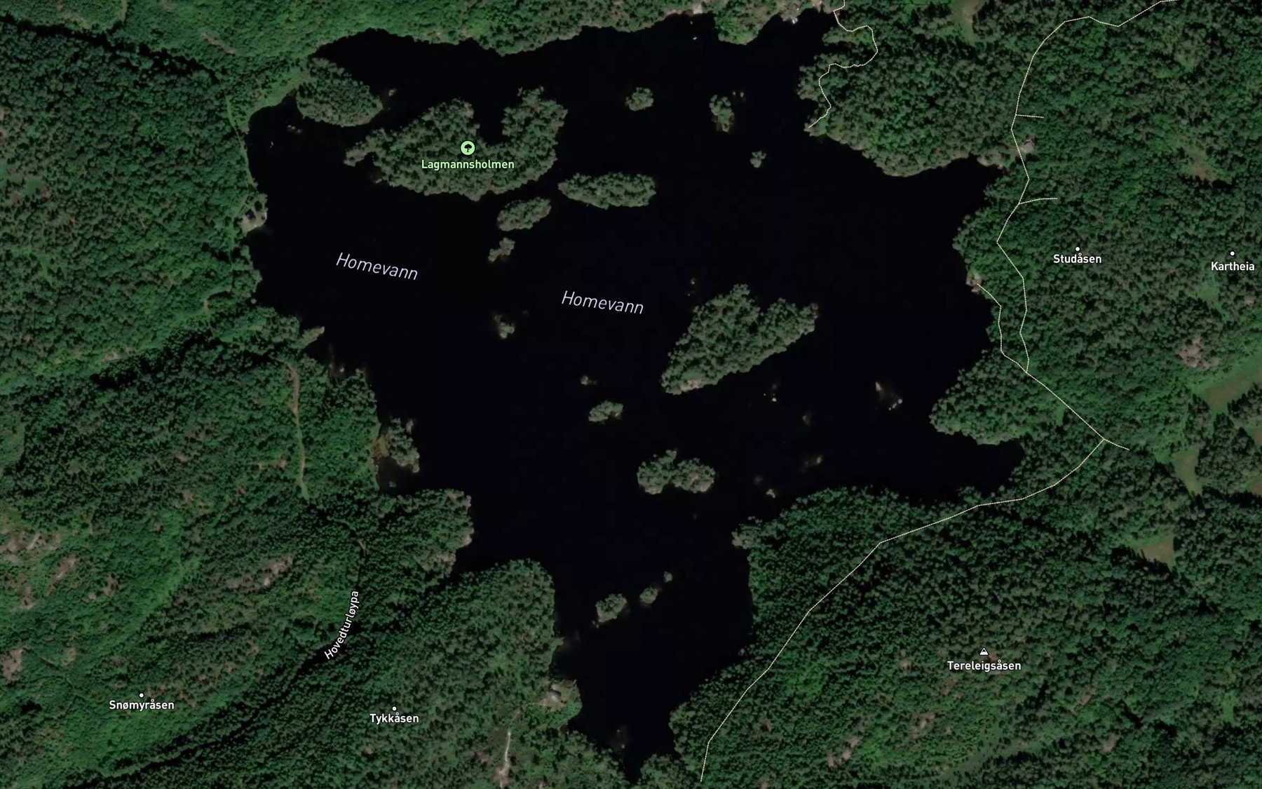 Satellite map of the Homevatnet