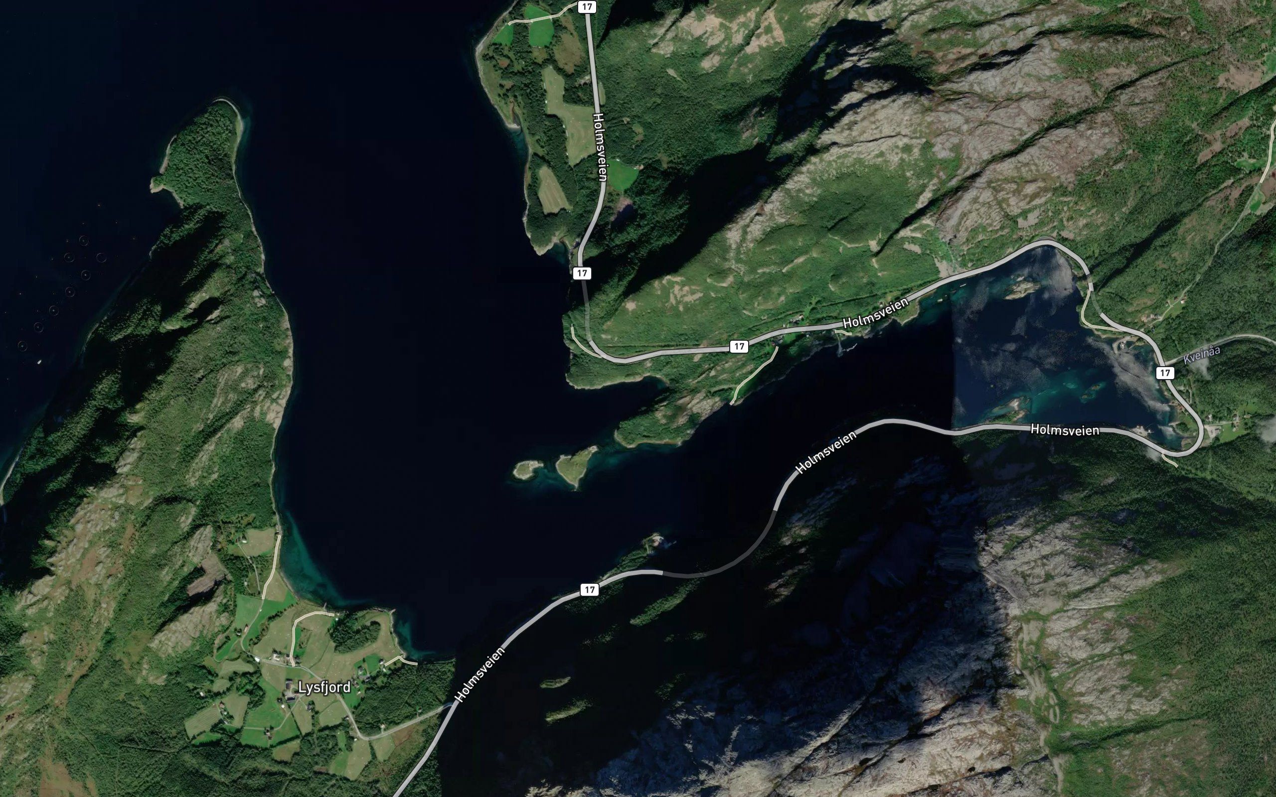 Skjevika