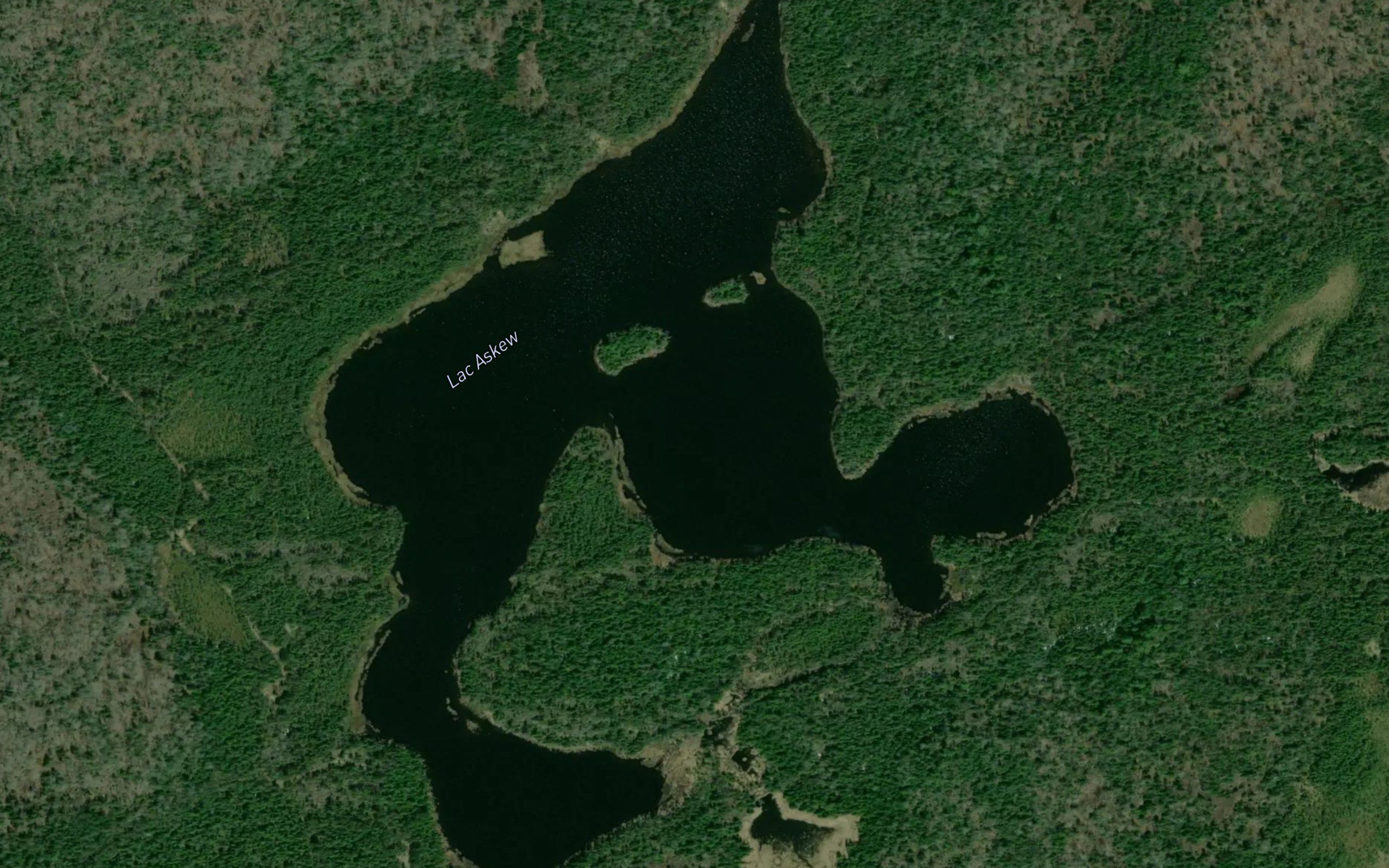 Lac Askew