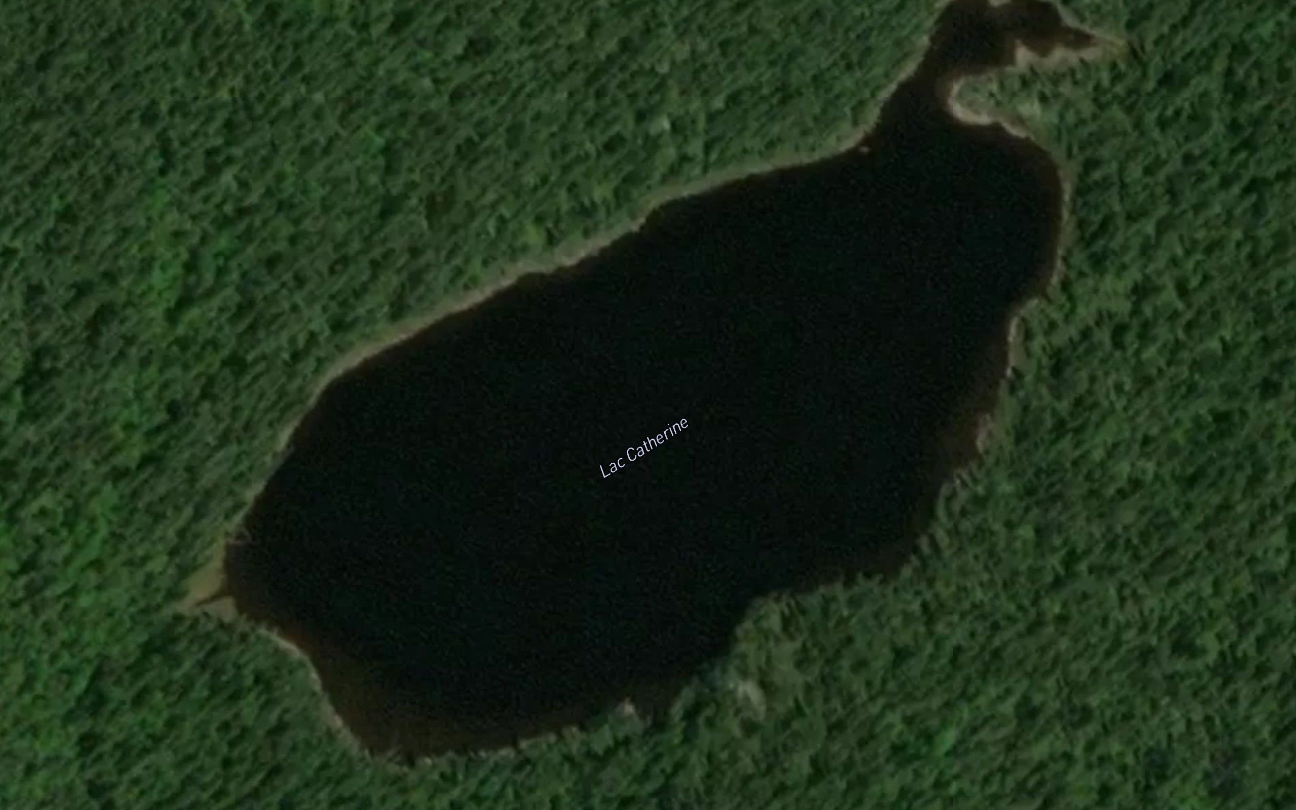 Lac Catherine