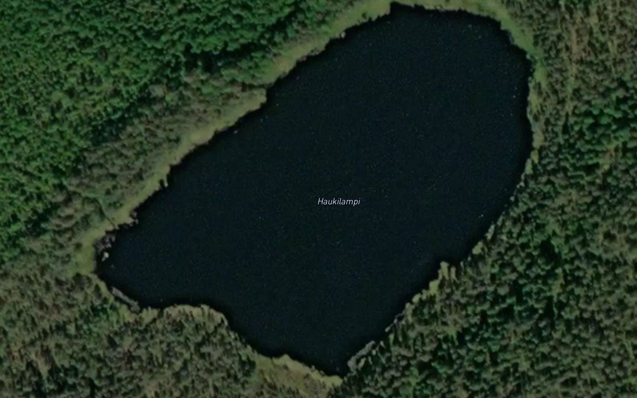 Haukilampi