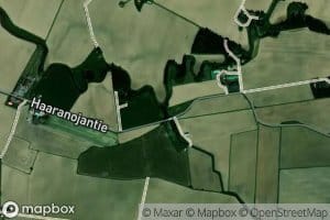 Haaranoja