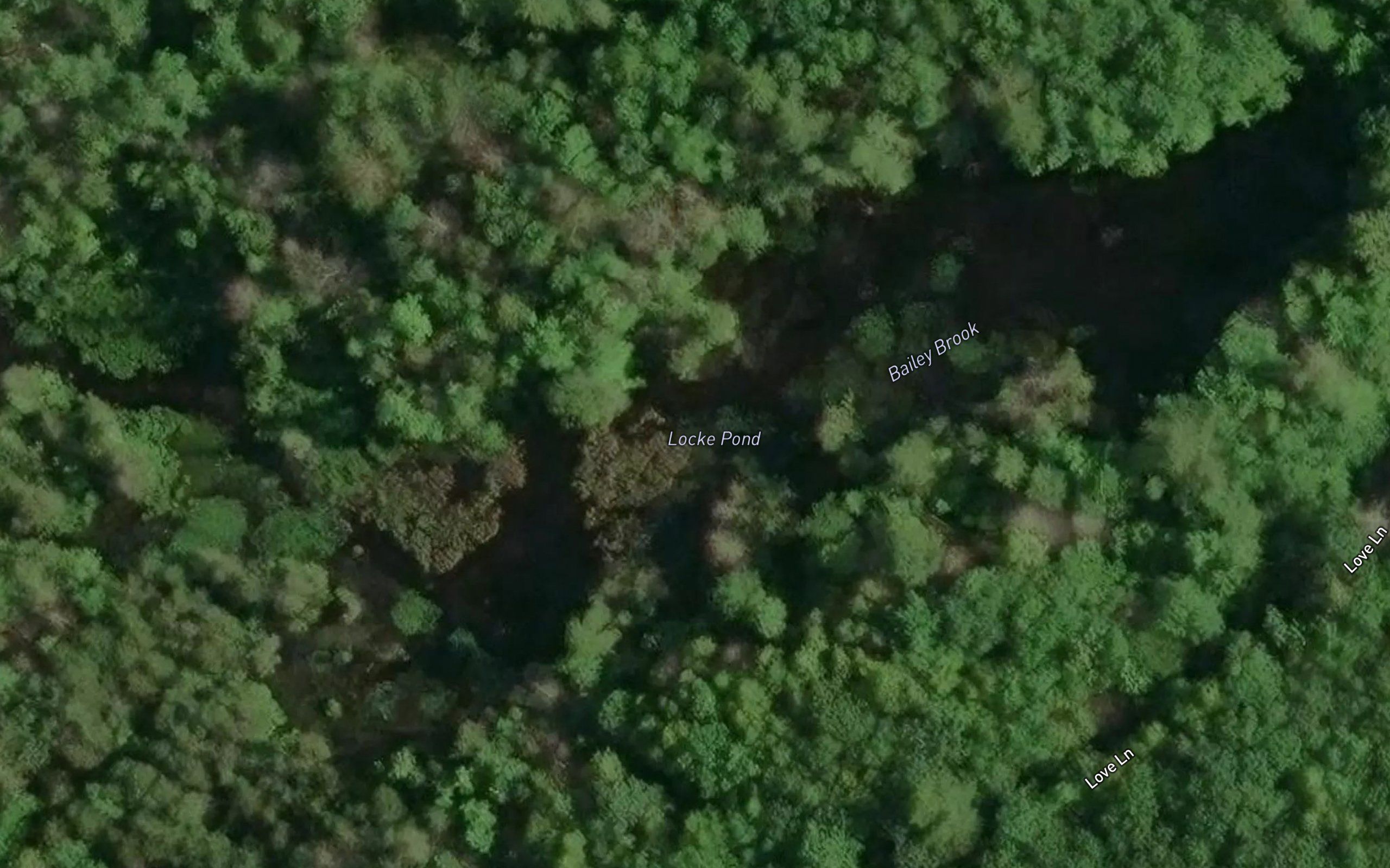 Locke Pond