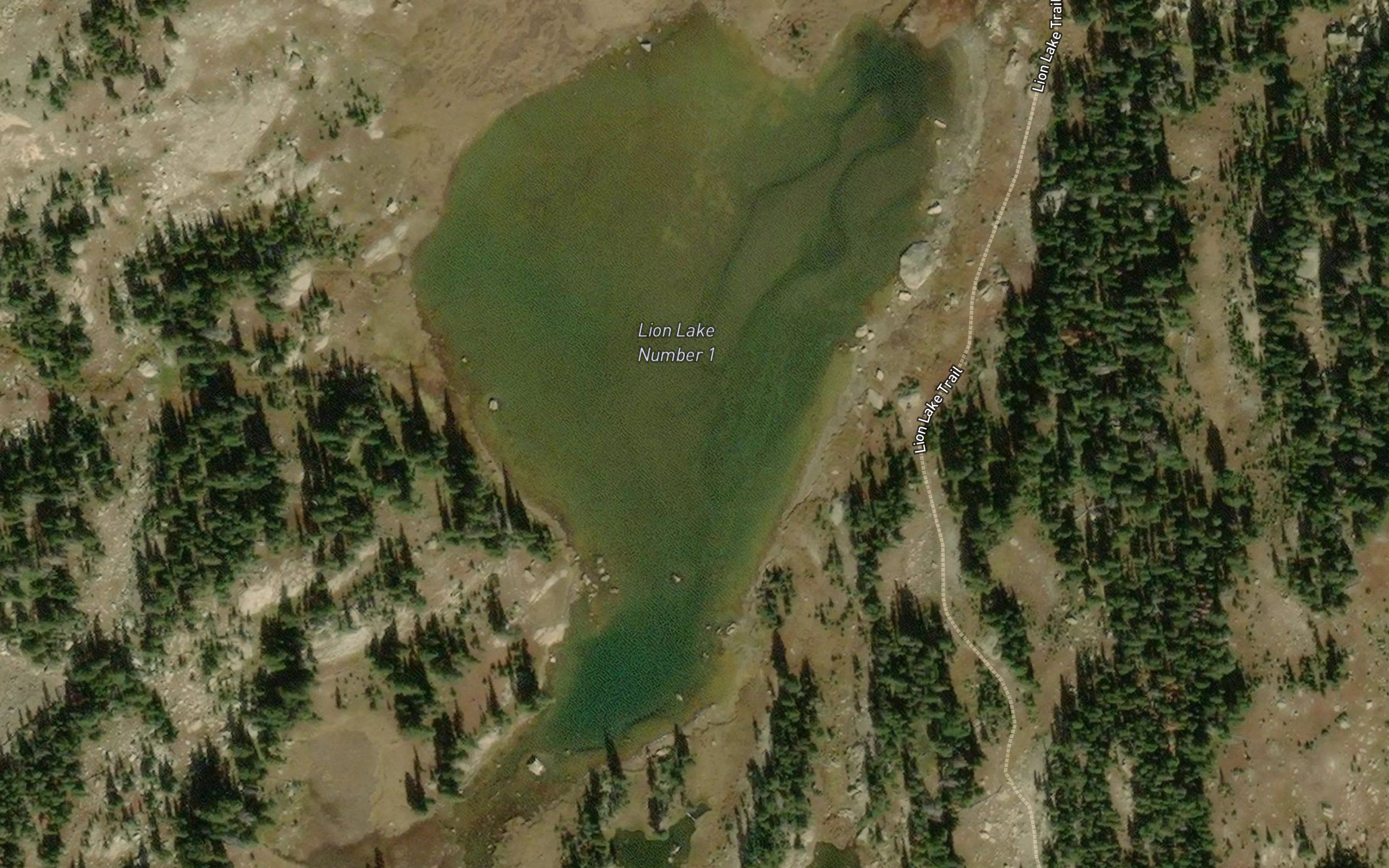 Lion Lake Number 1