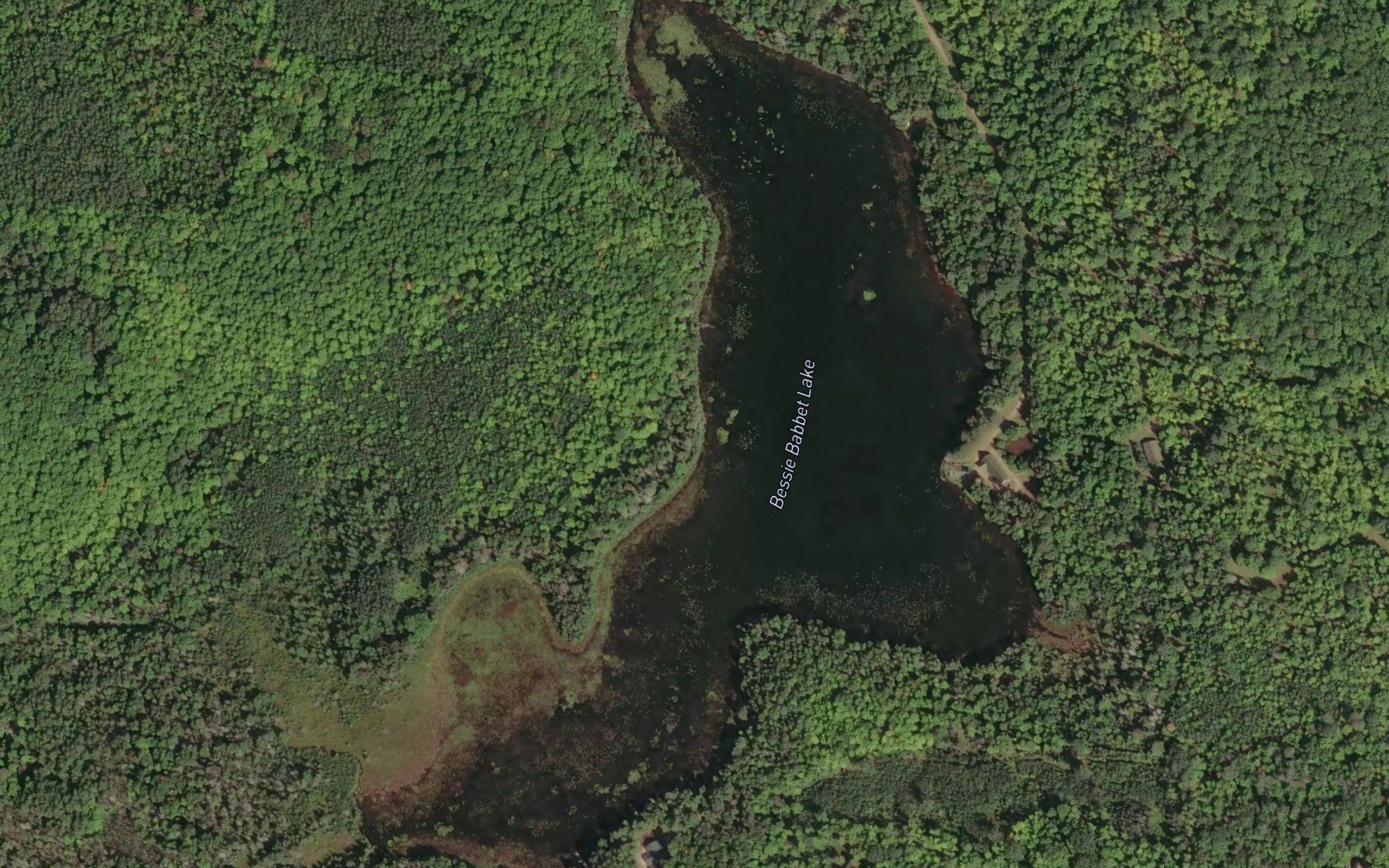 Bessie Babbet Lake