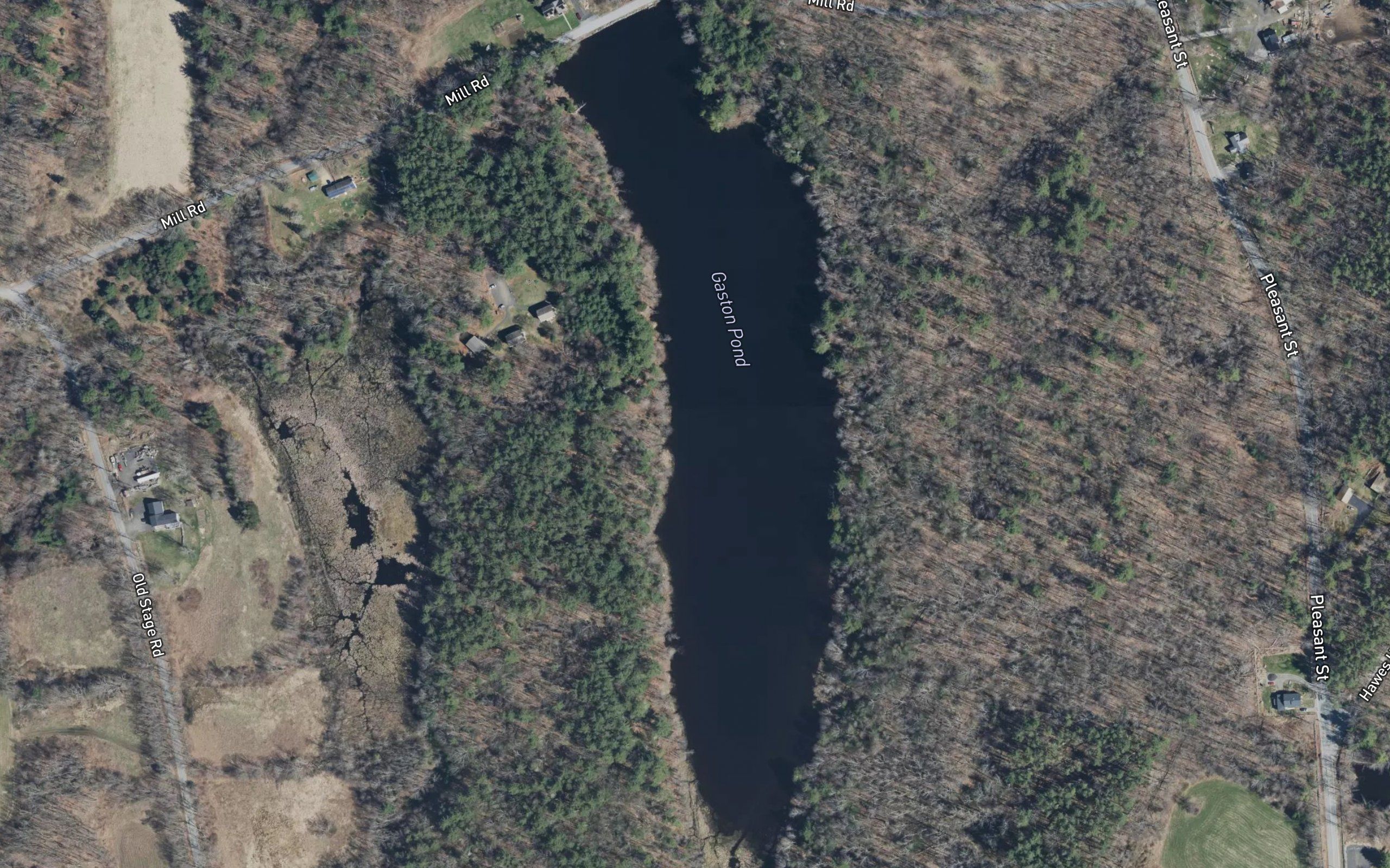 Gaston Pond