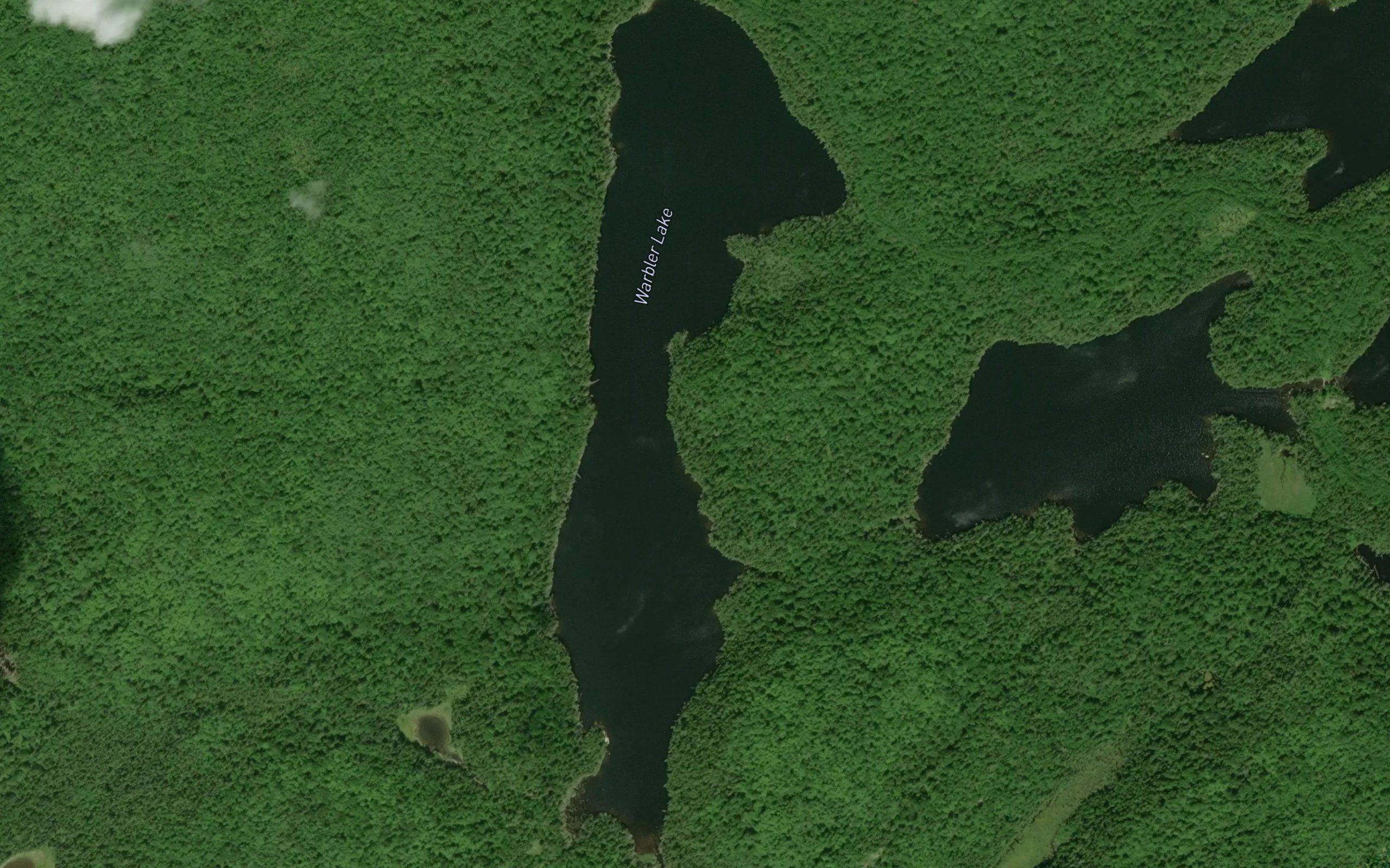 Warbler Lake