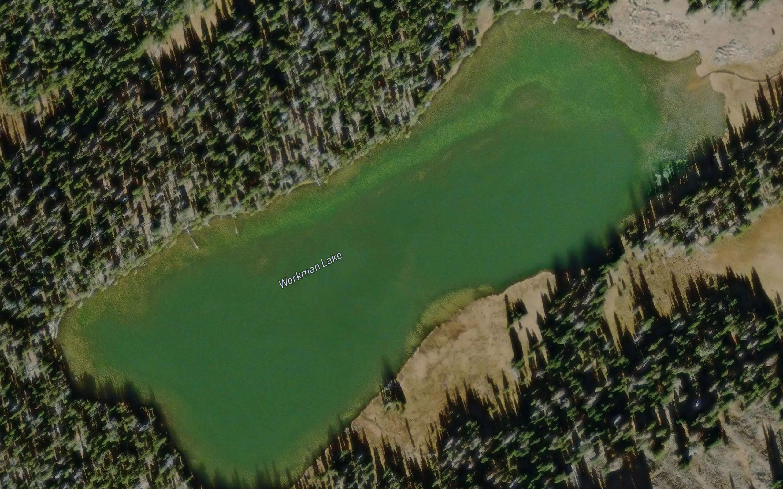 Workman Lake