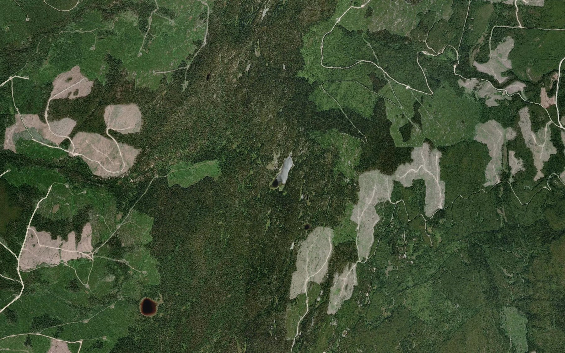 Satellite map of the Howard Lake