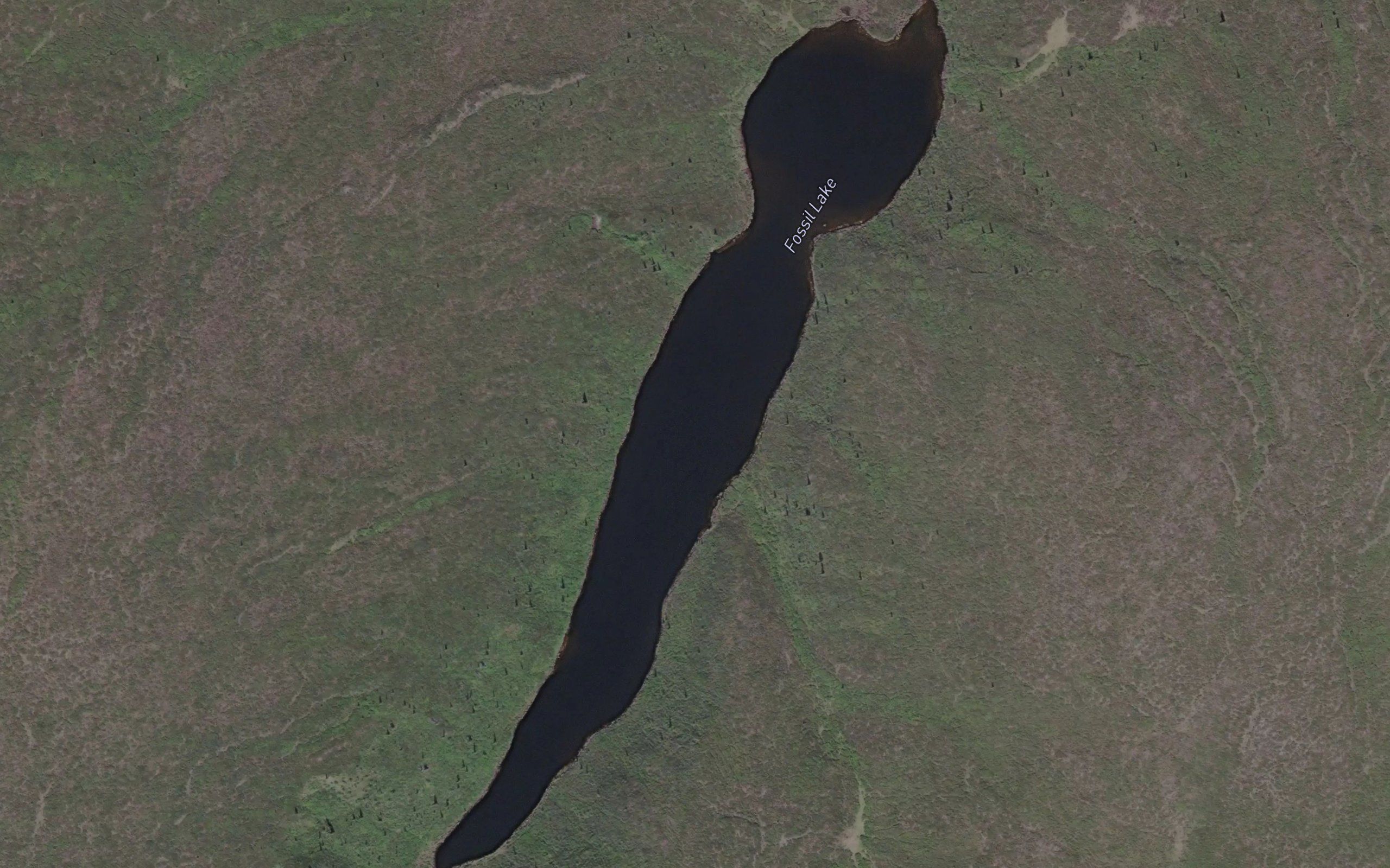 Fossil Lake