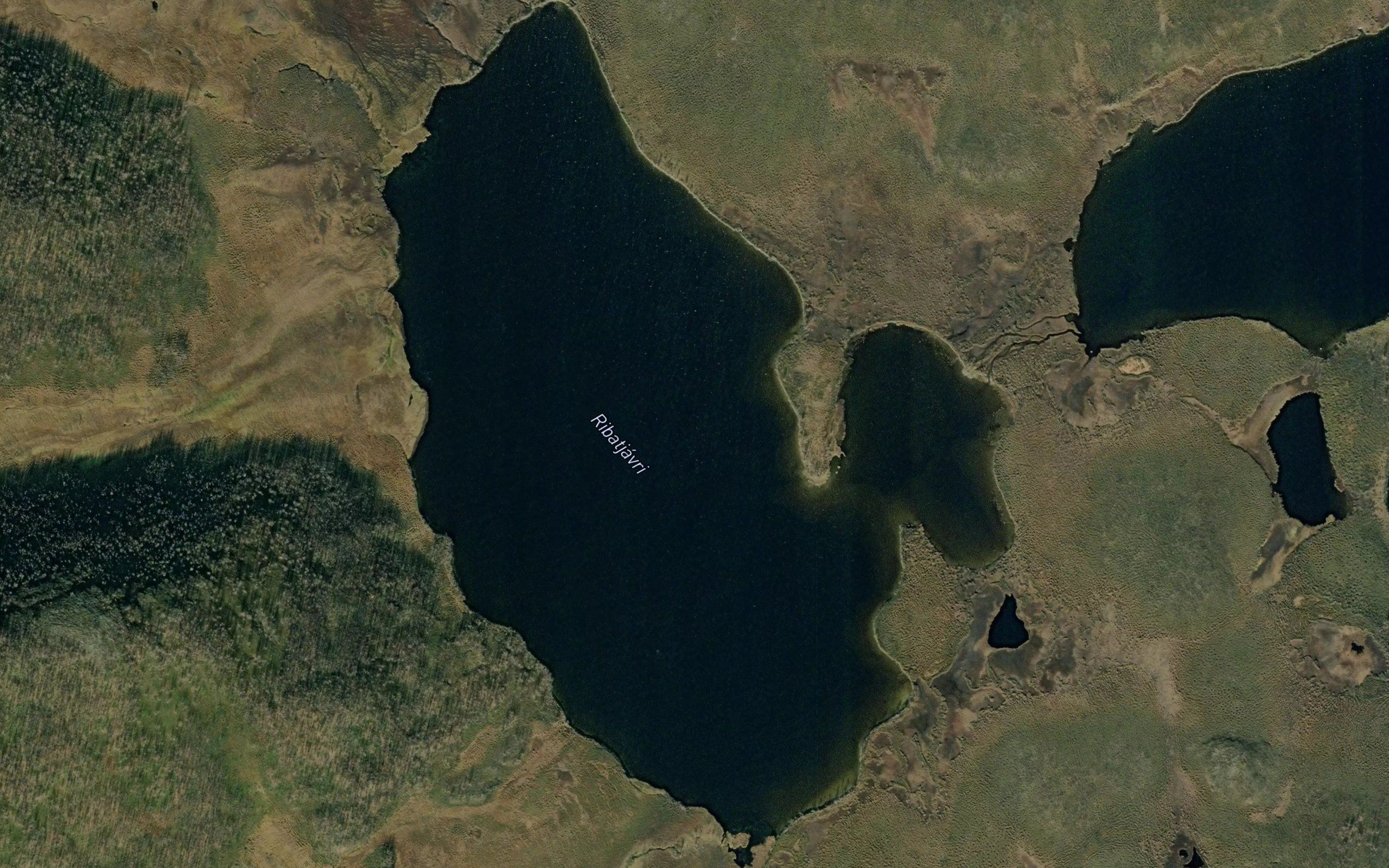 Ribatjavri