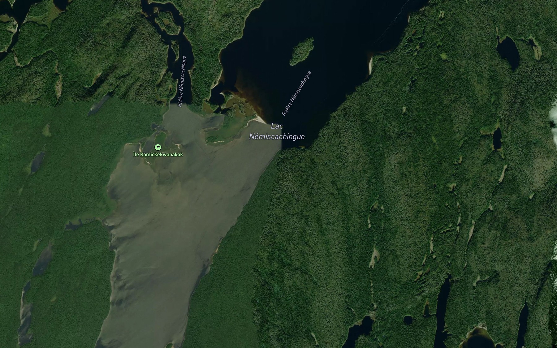 Satellite map of the Lac Nemiscachingue