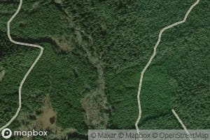East Fork Trout Creek