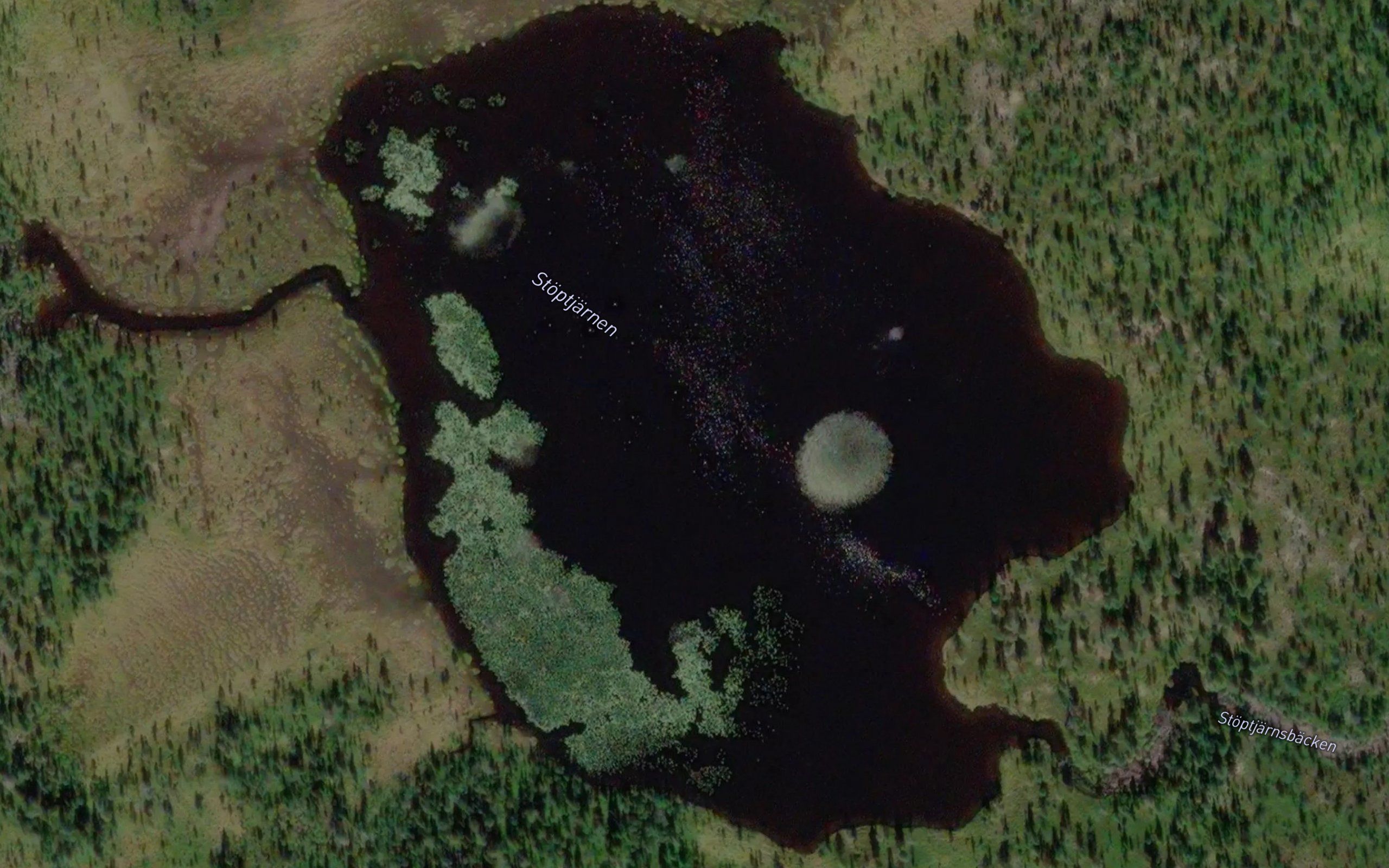 Stoptjarn